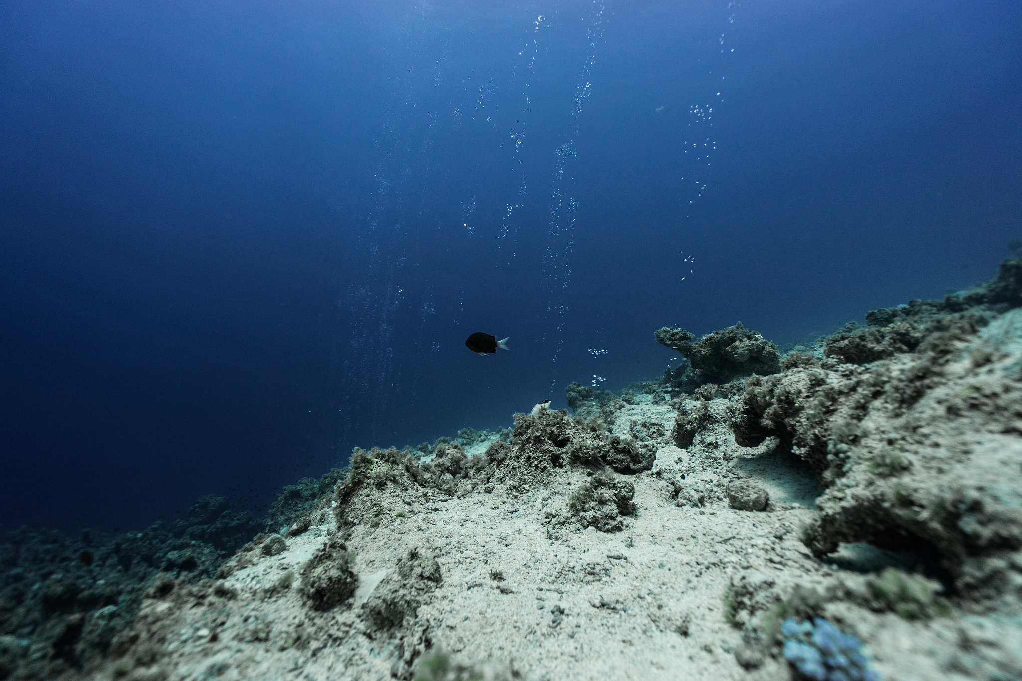 air from the deep