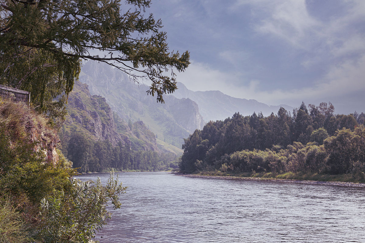 《自然探险》- 电音点燃冒险激情，探索自然无尽魅力