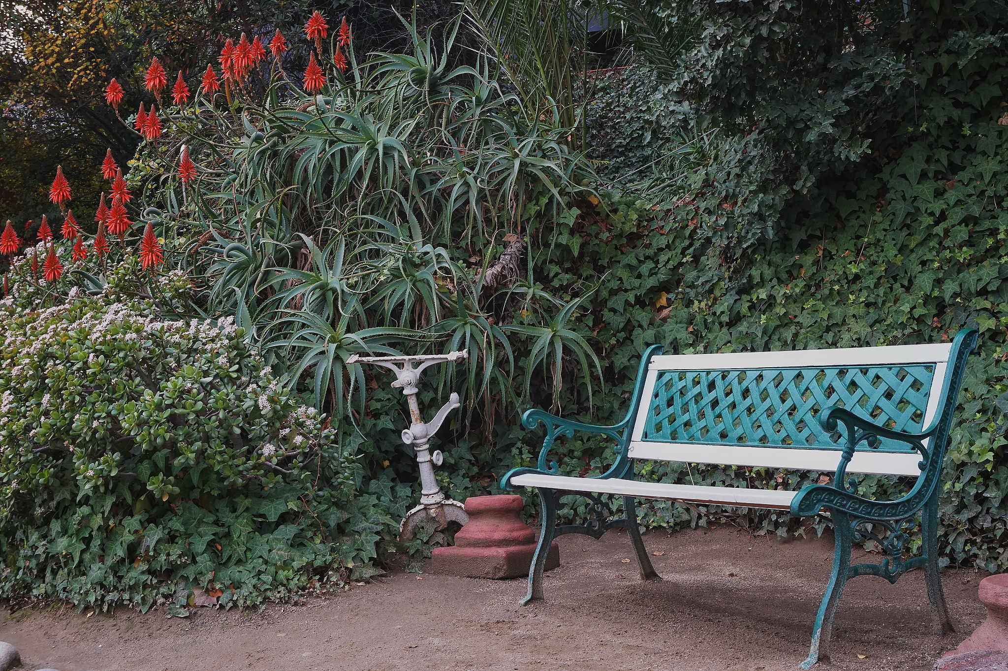 长春大学园林专业就业前景分析｜城市绿化与景观设计人才需求