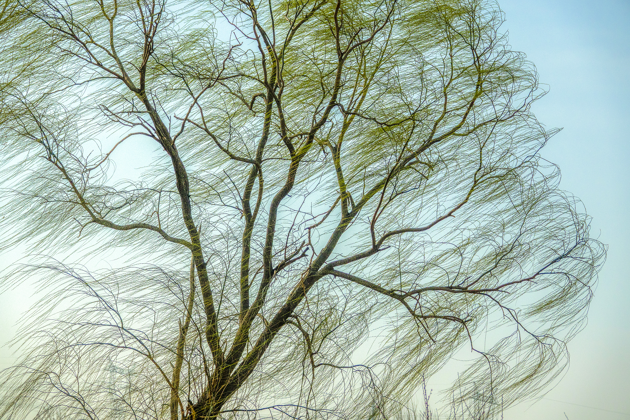 春风诗歌：描绘春天的美好与希望