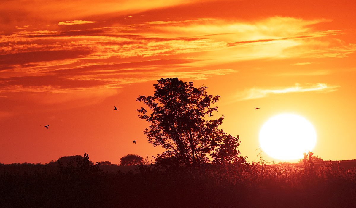 帮我写3个点击率高的日落的文案标题20个字