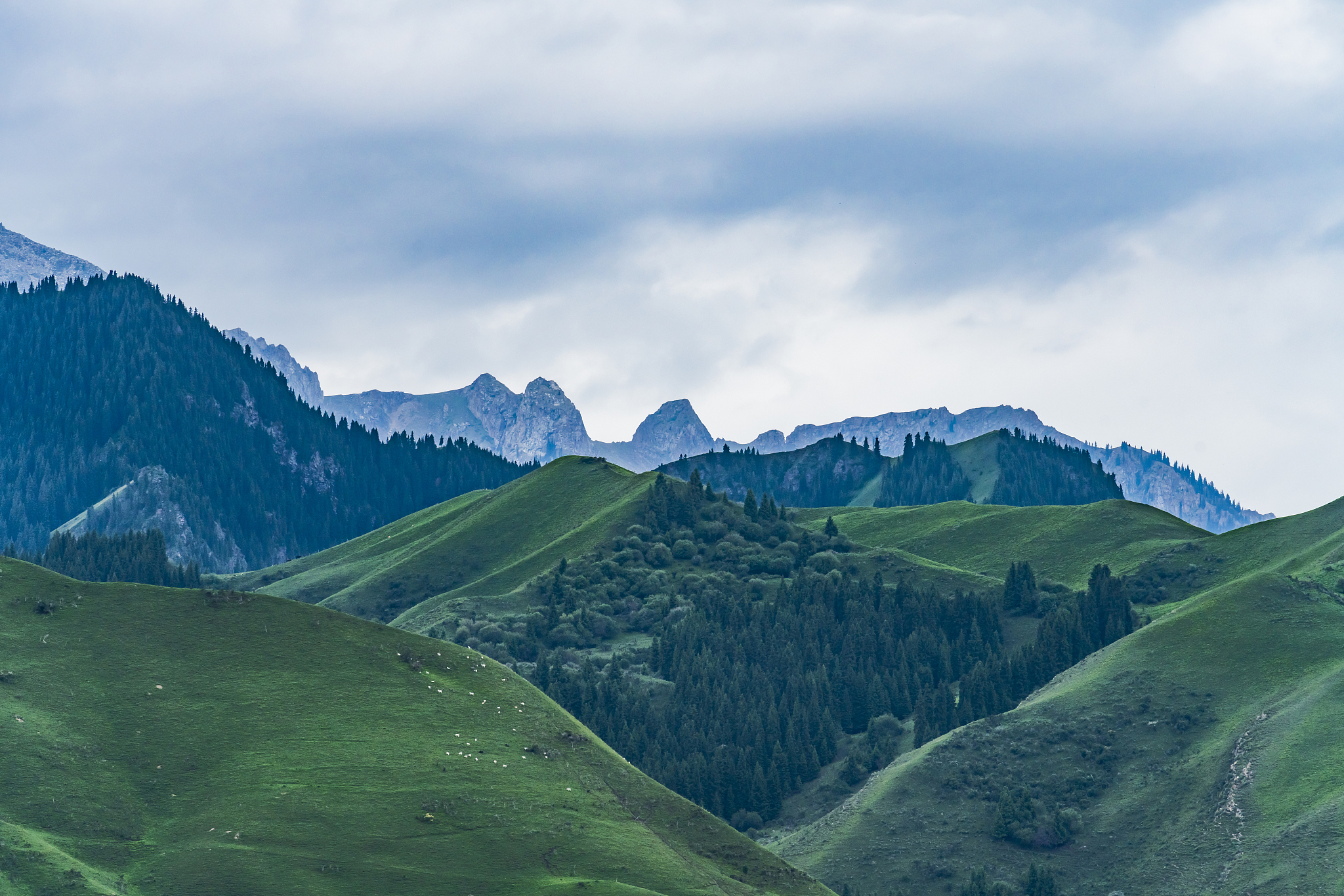 grassland landscape with meadows and mountains, xinjiang, china