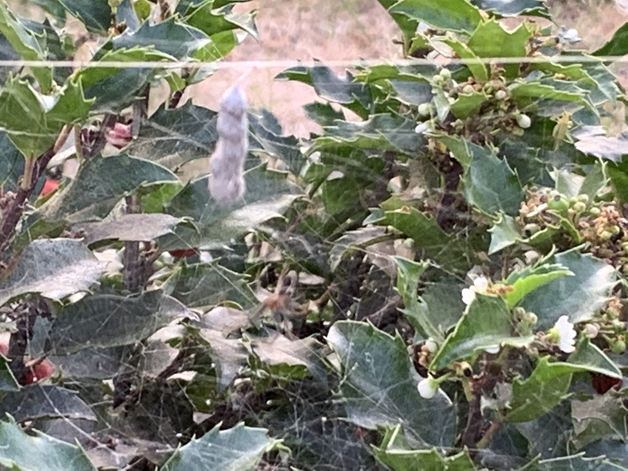 园艺技术专业课程介绍：学习内容及未来发展