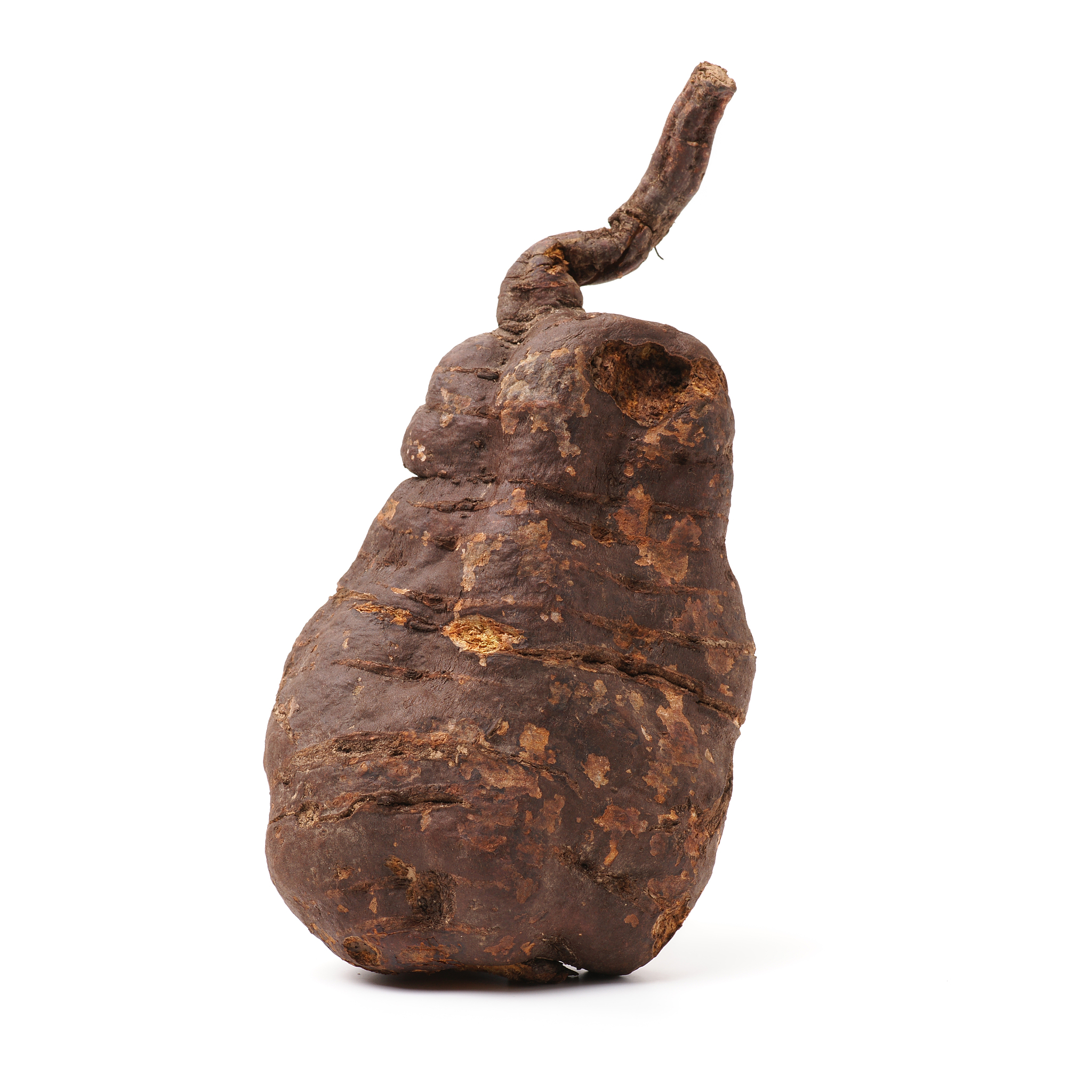 达州中医药职业学校怎么样？用