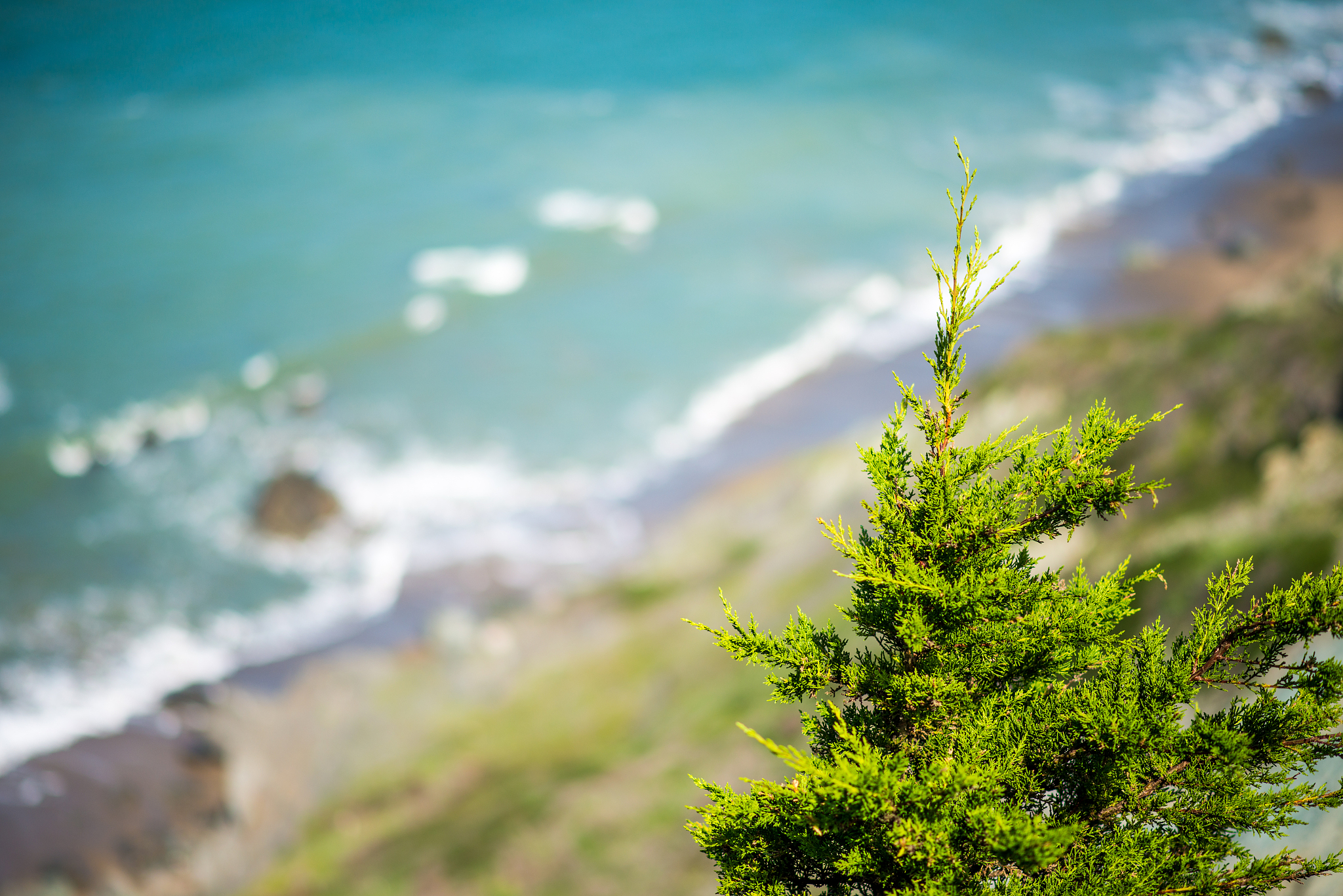 厦门海洋职业技术学院水路运输与海事管理专业优势及发展前景