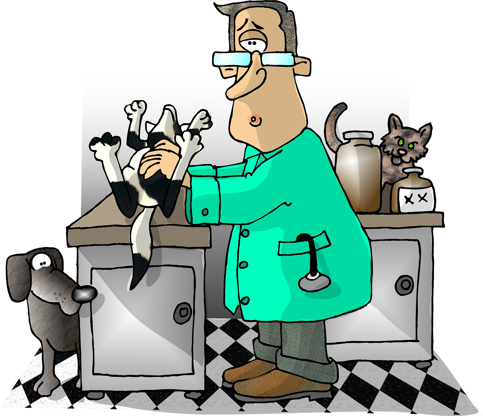 实验动物福利与动物实验的关系：伦理与实践的平衡