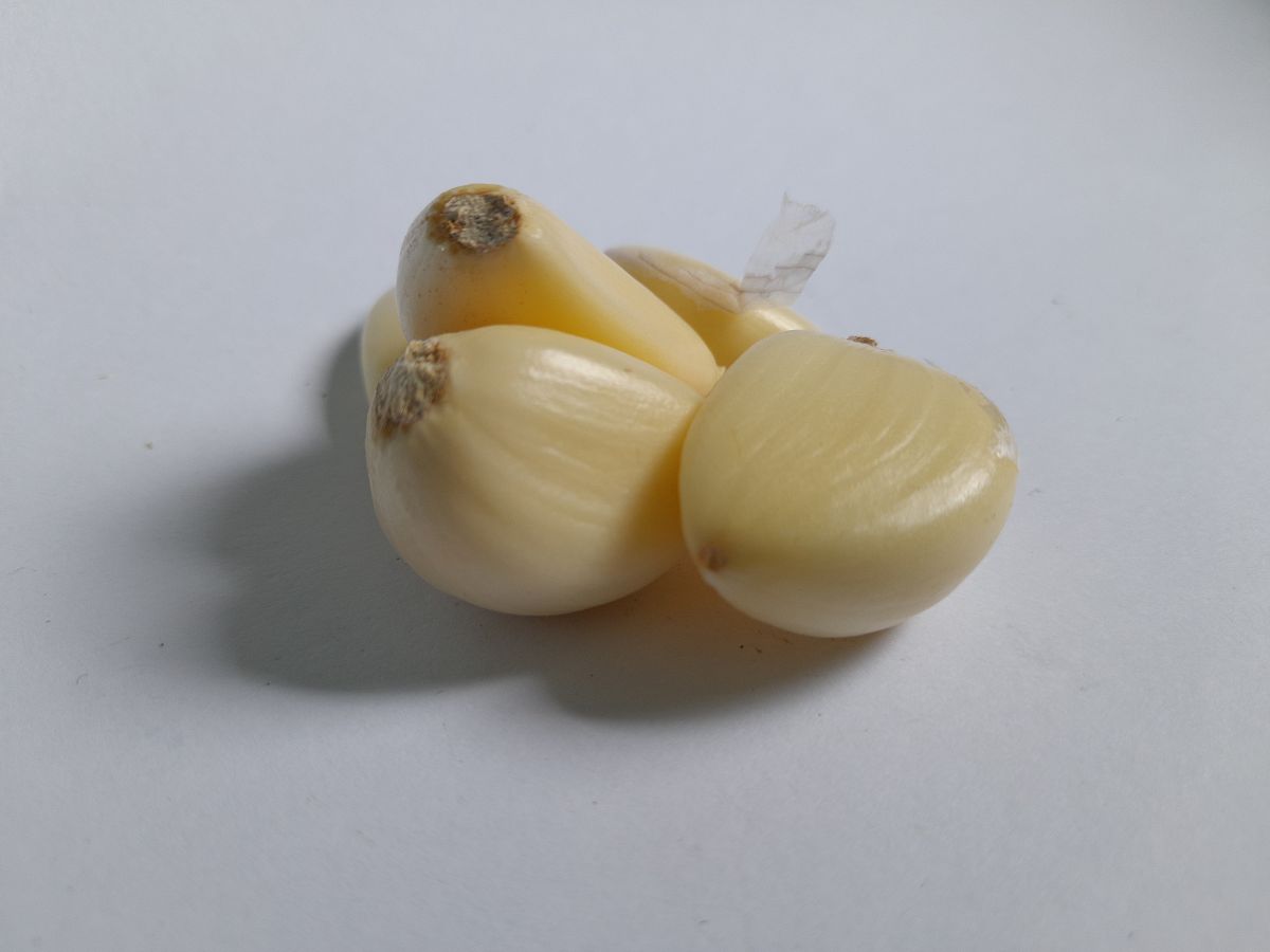 糖蒜绿了是怎么回事，