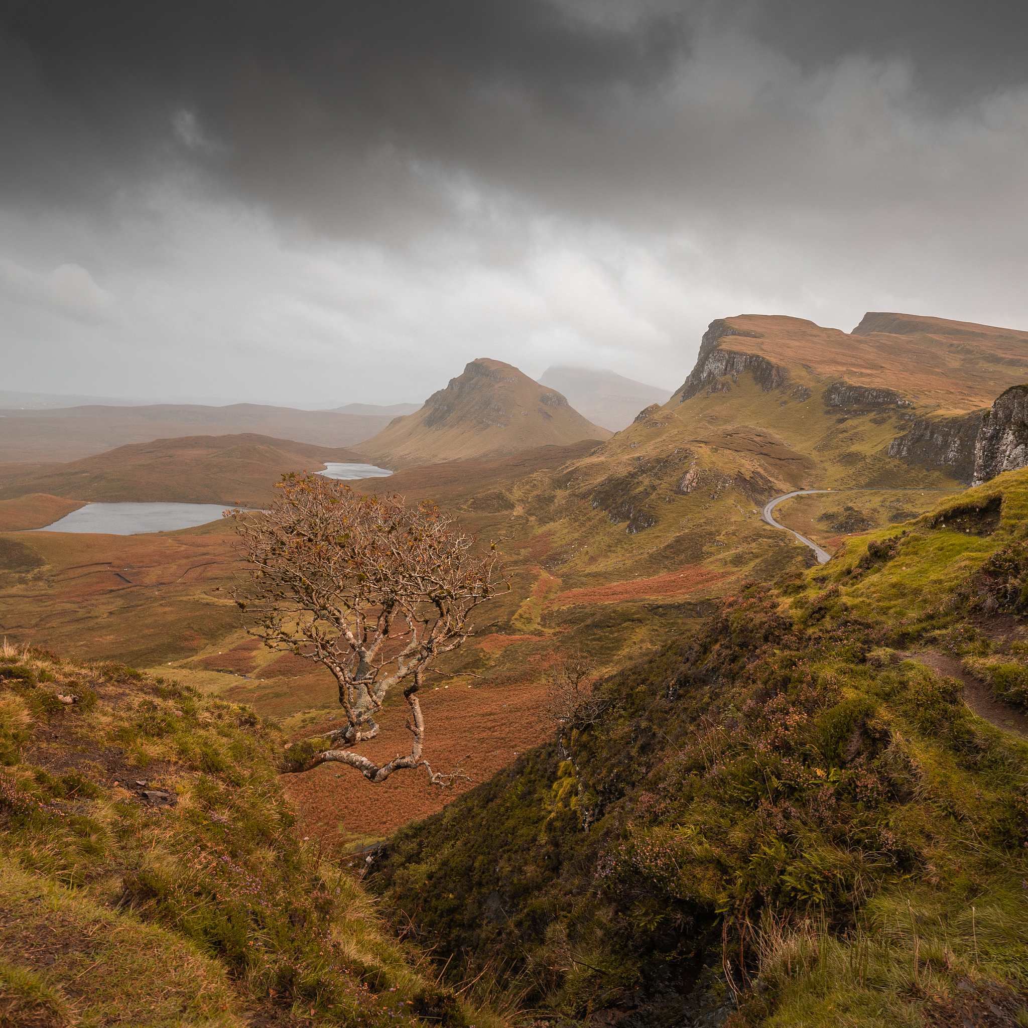 海贼王剧情发展和故事桥段详解：从东海到海贼王
