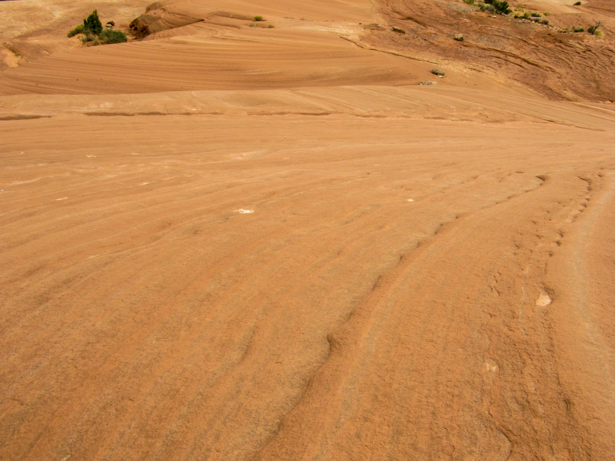 patterns in the entrada sandstone