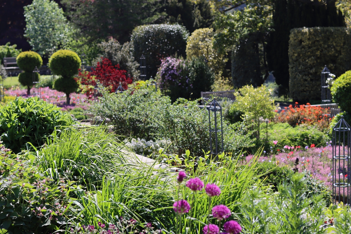 伦敦切尔西花展：150年历史的文化与艺术盛典