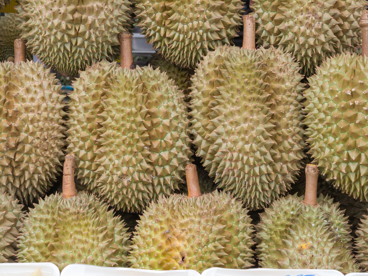 A级果榴莲帮我用200字详细描述