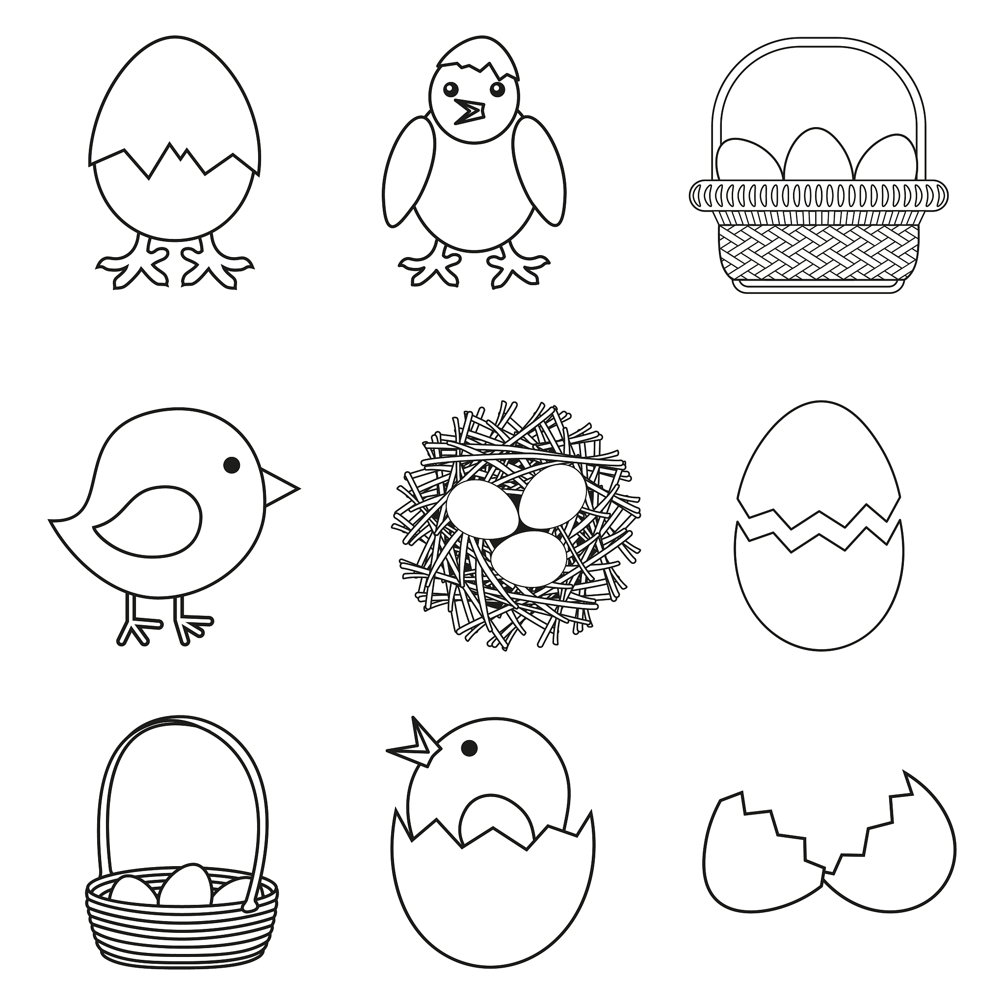 先有鸡还是先有蛋？科学与进化角度的解答