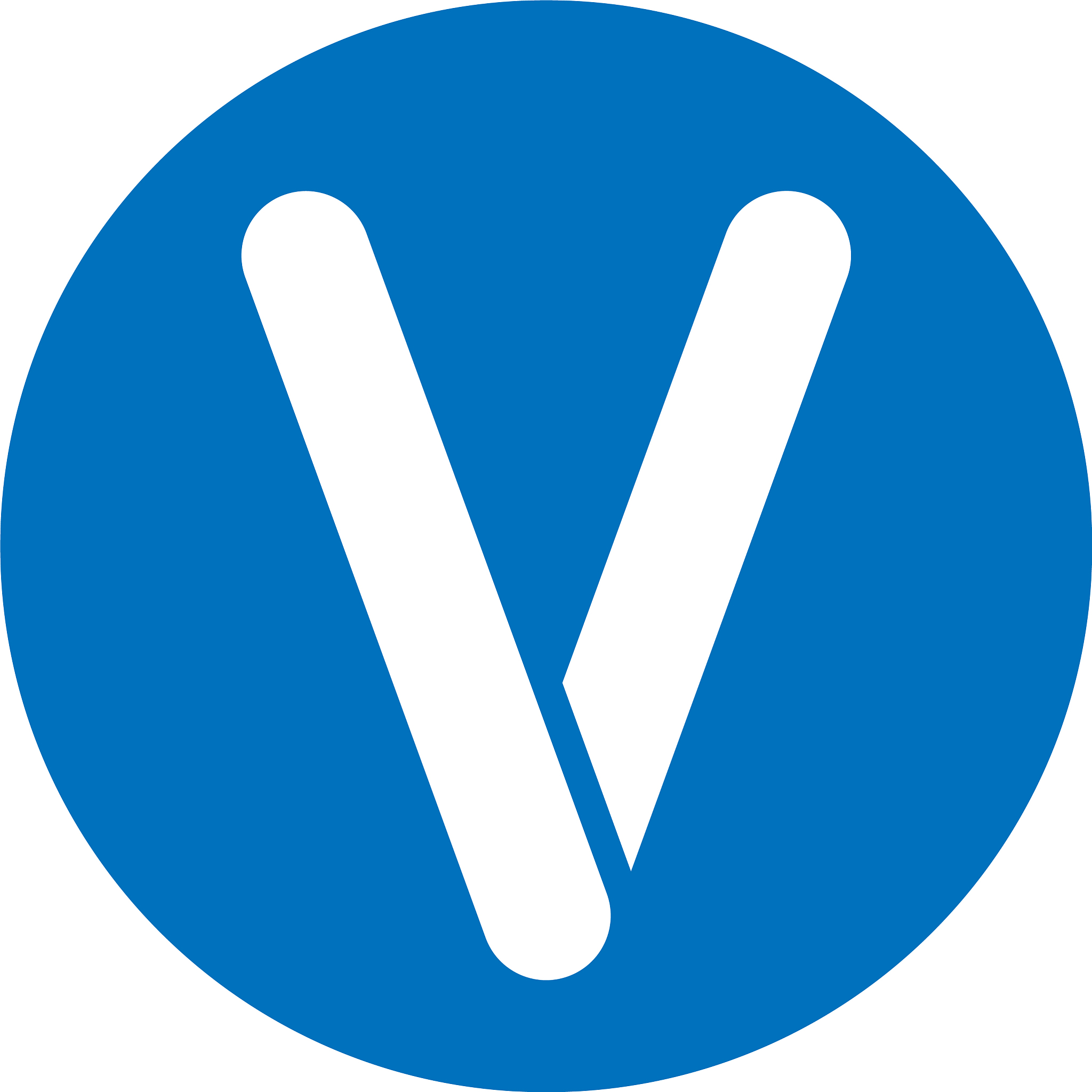 letter v logo design concept