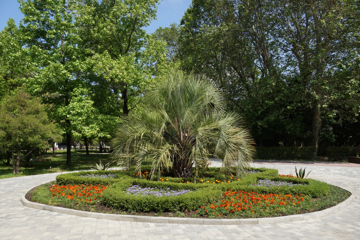 西安市东三环绿化植物配置建议：根据植物特性合理选择