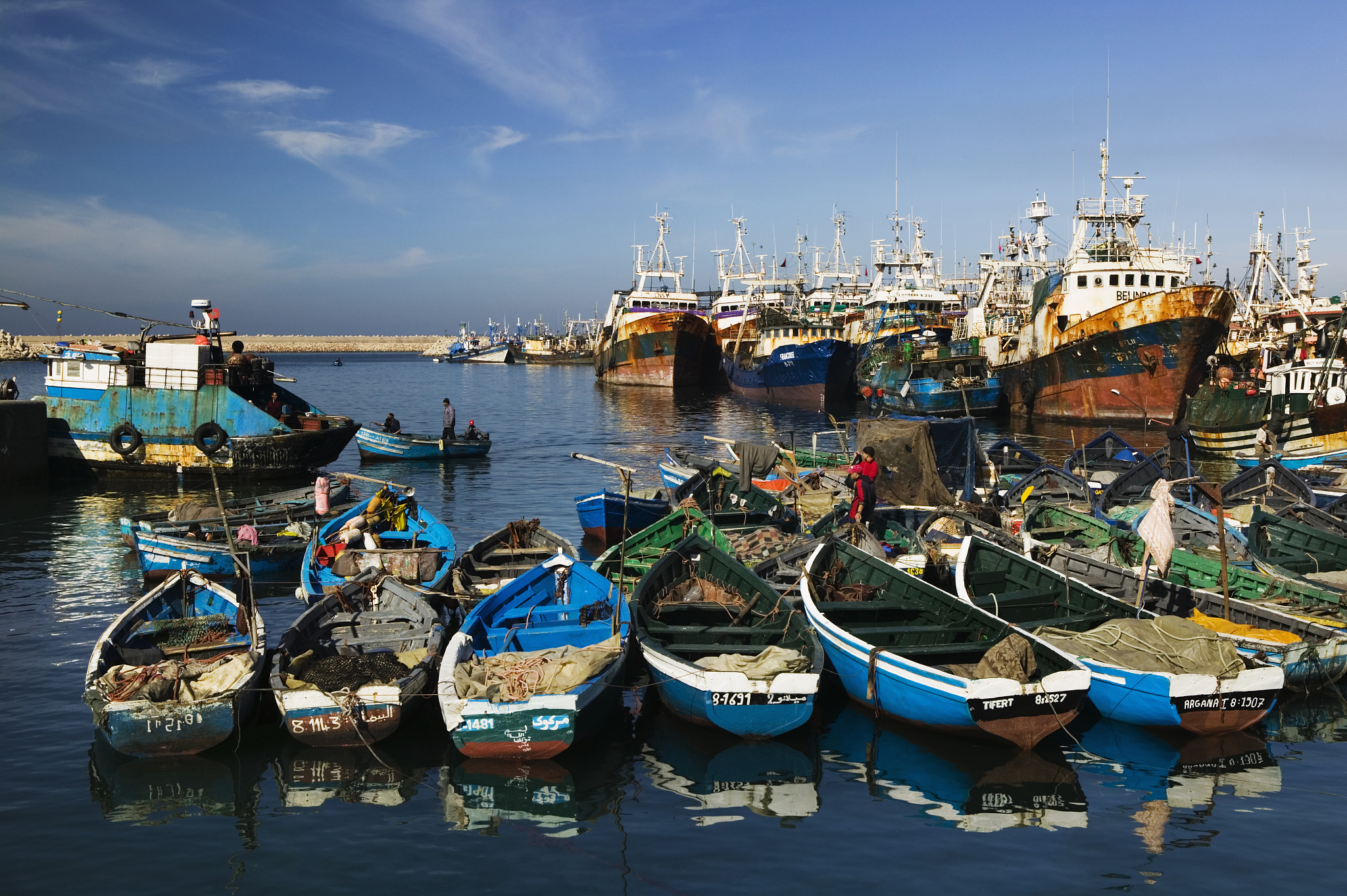 commercial port fish fleet, agadir, atlantic coast, morocco