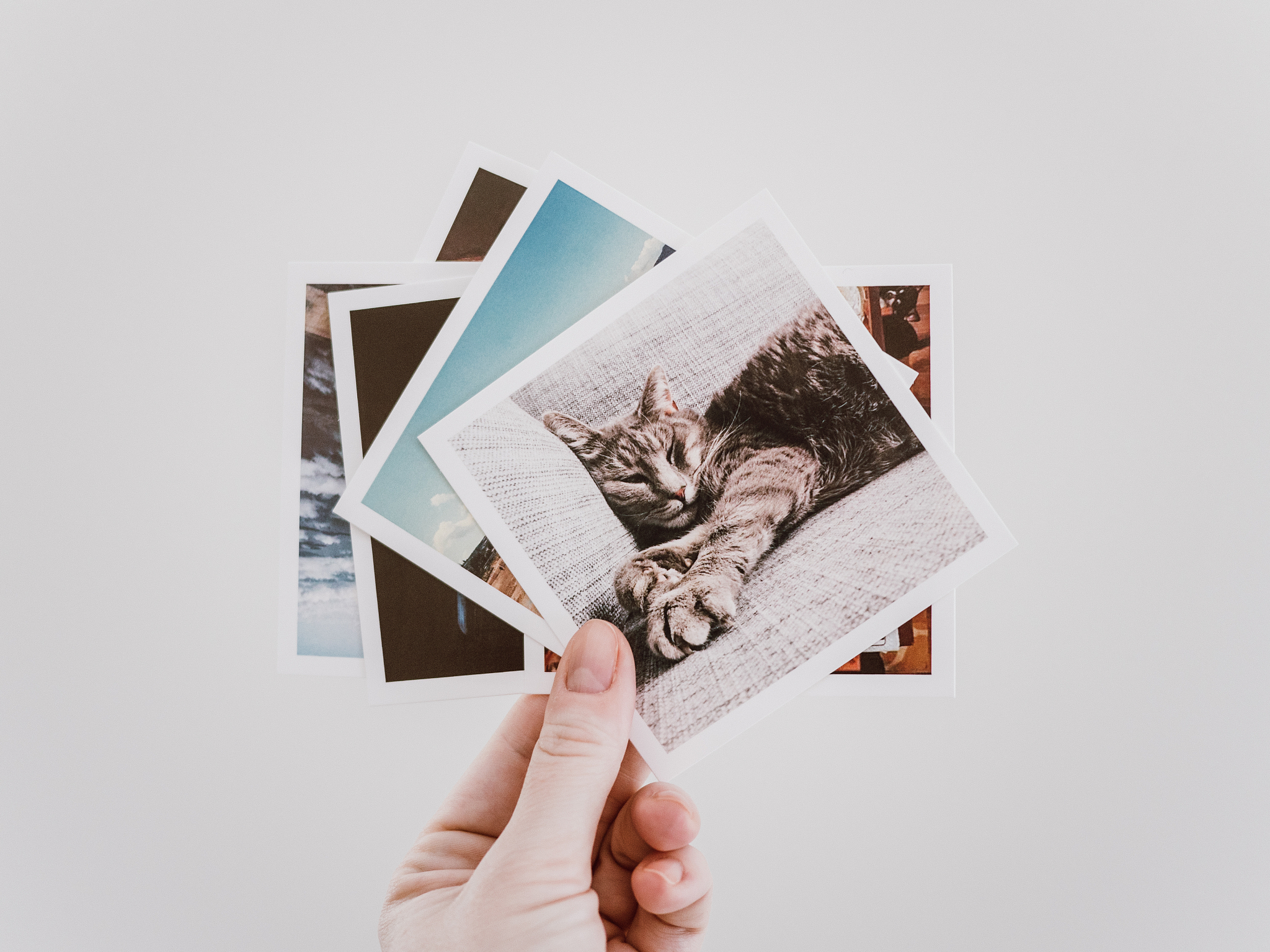 Hochzeits Gästebuch aus Holz Alternative Hochzeitsgästebuch Holzherzen Hochzeitsdeko Individuell gestaltbare Holzherzen 25 Herzballons 2 Unterschrift Stifte Aufbewahrungsbox HerzrahmenArespark Hochzei