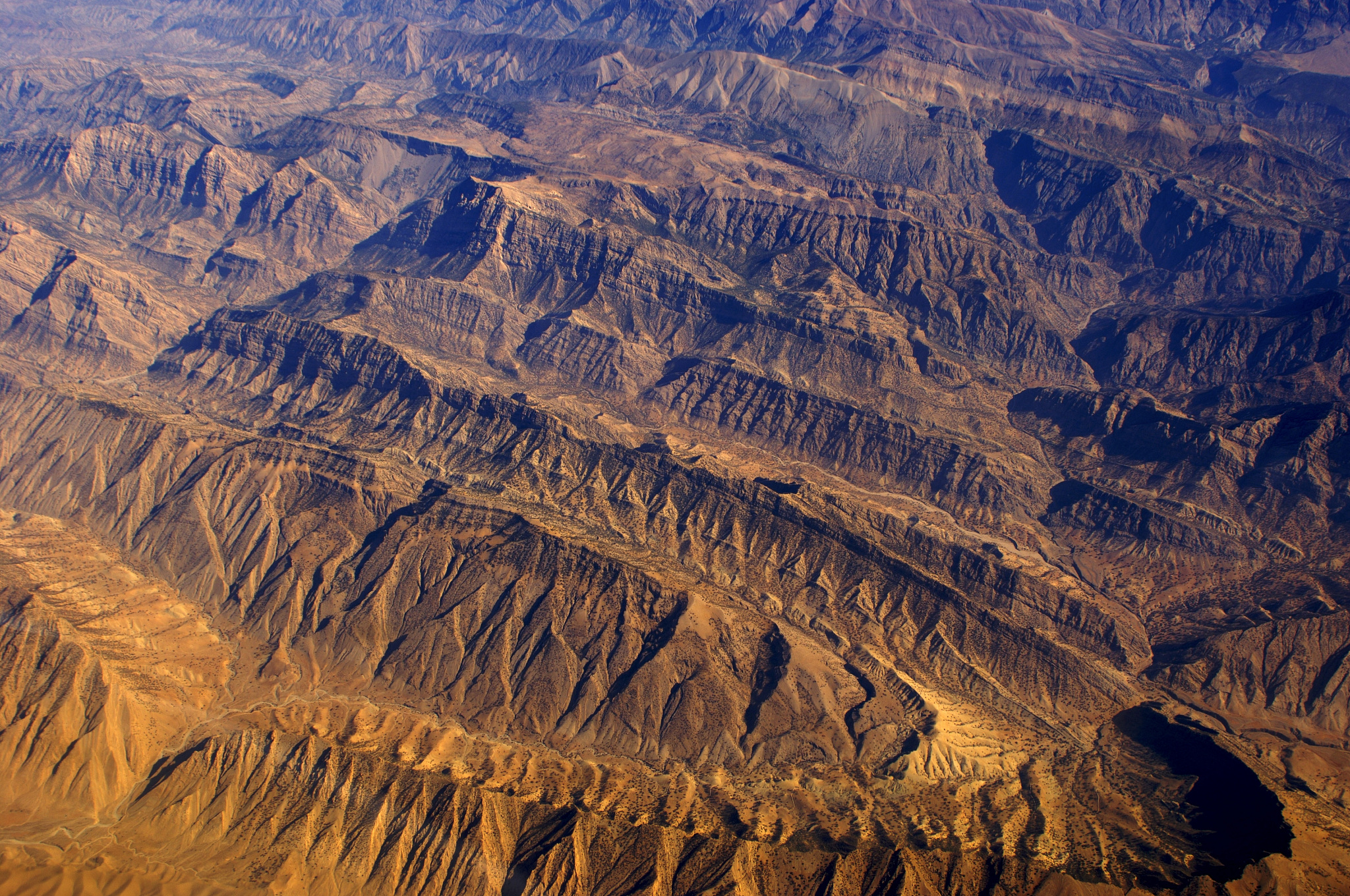从专业的角度介绍一下生态观测网络