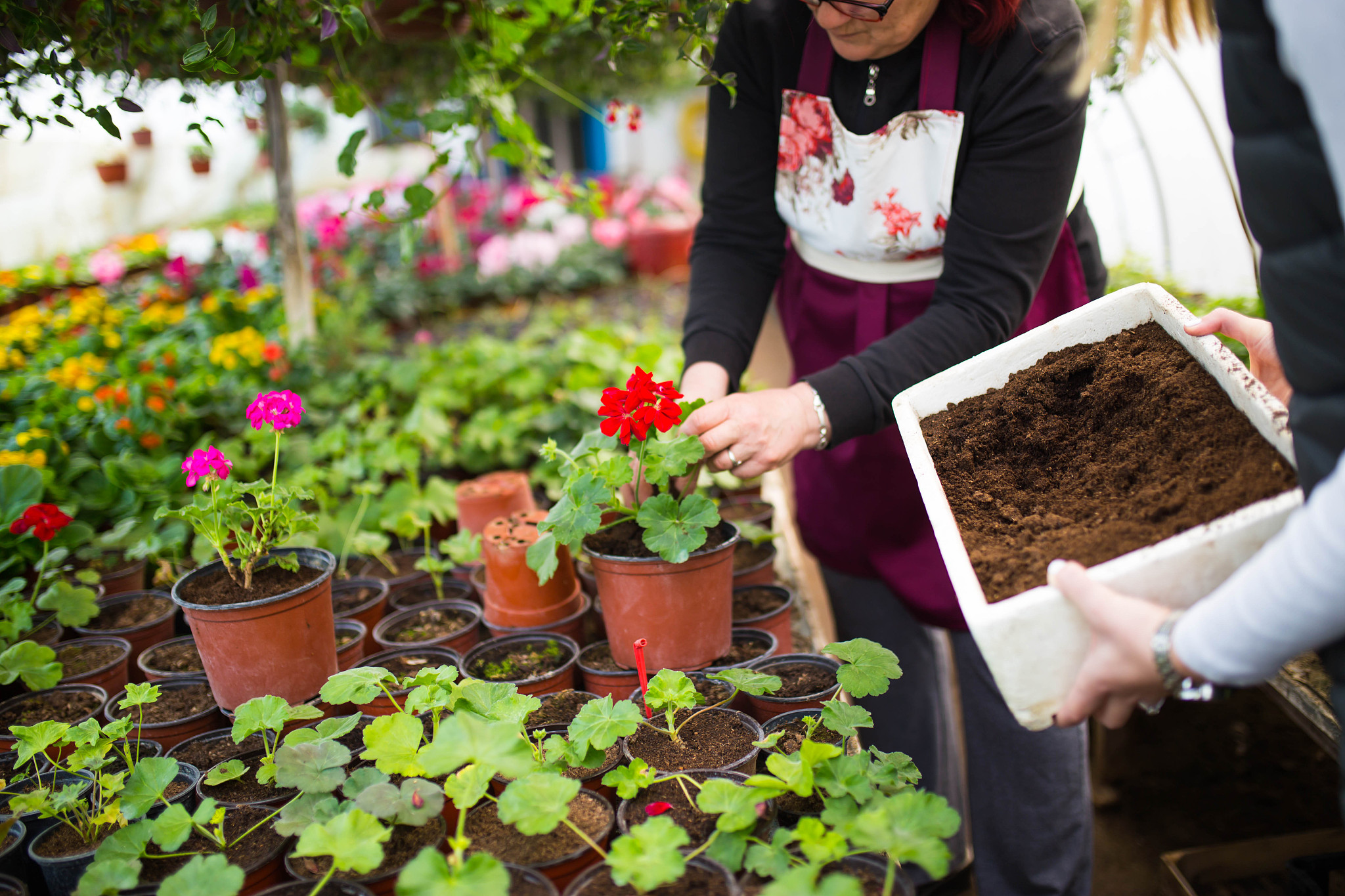 抚顺市农业特产学校观光农业经营管理专业怎么样？就业前景如何？