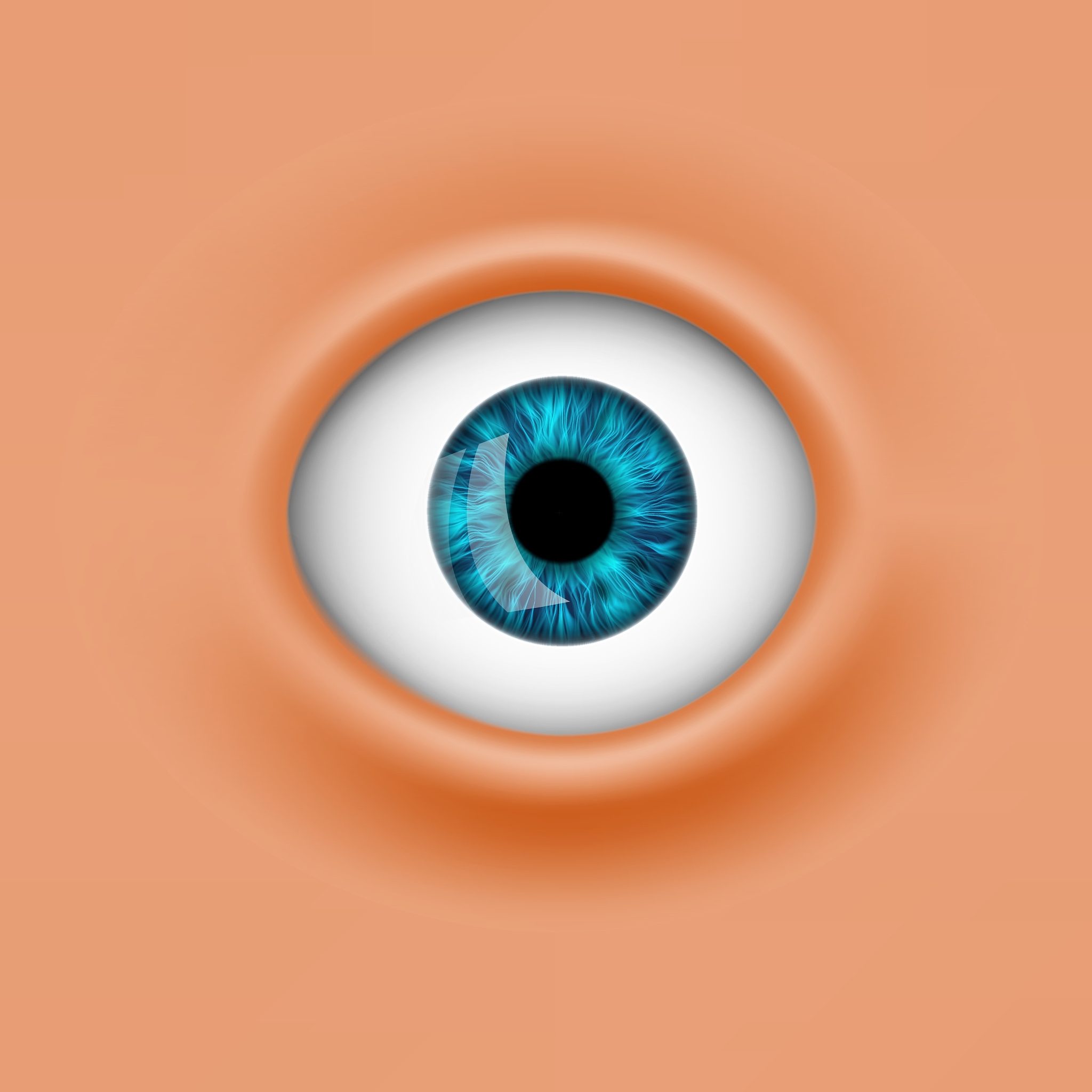human eye