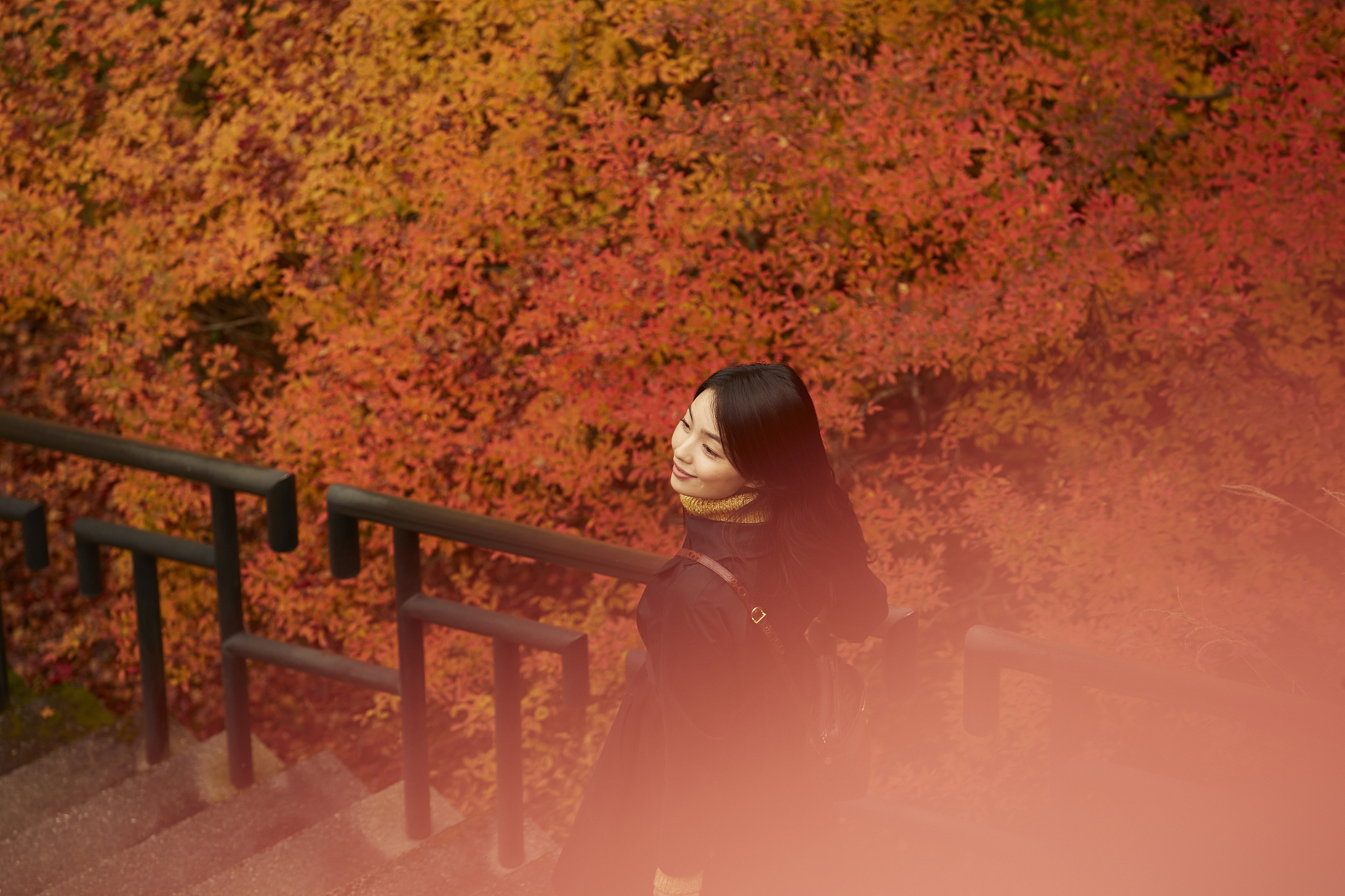 女性 女 女人
