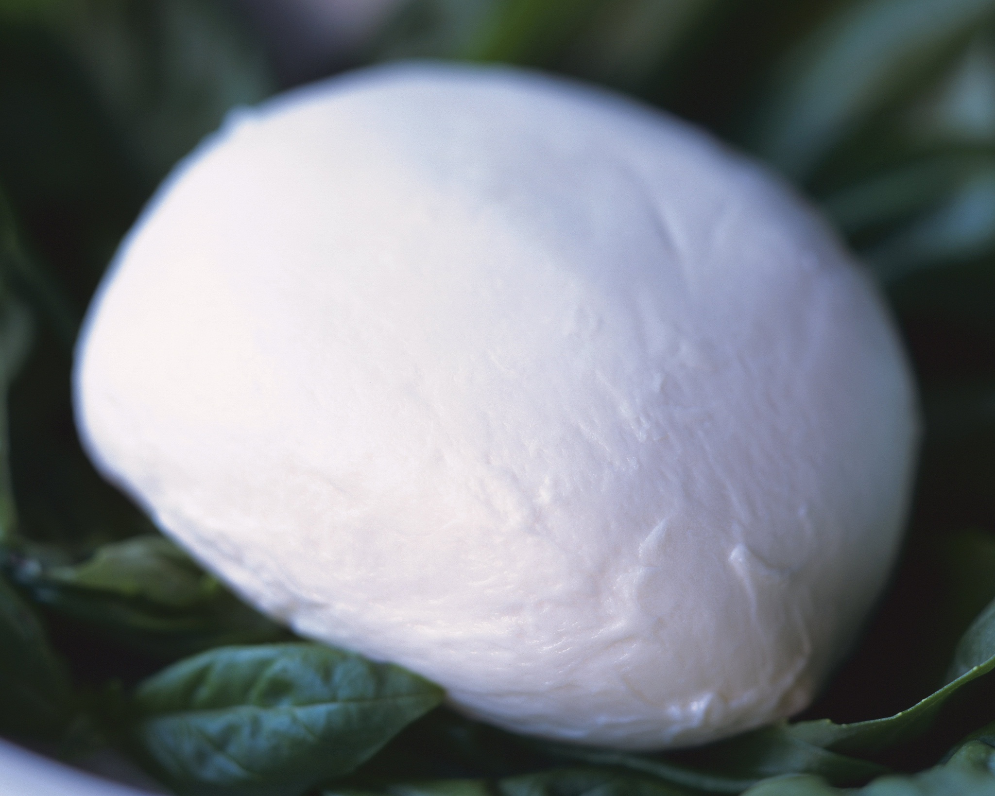 将纤维素粉末进行乙酰化的具体操作