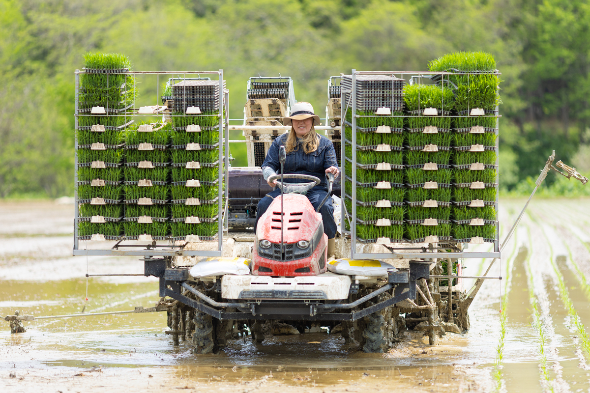 自动化农场有望实现吗？全自动化的农场能够自己播种施肥是农肥自己搜集发酵物进行合适的发酵灌溉除虫收割初加工精加工然后打包成包装自动放入仓库无人机可以把包装投递给需要的客人。然后机器人的配件一定要固定时间强制进行更换更新因为配件损坏是必然的一个环节出问题就会很麻烦旧的配件进行环保再利用。中外农业名著当中的经典做法可以编成算法让机器来执行通过深度学习让机器根据这些算法得出更好的办法来提高产品的数量和质量