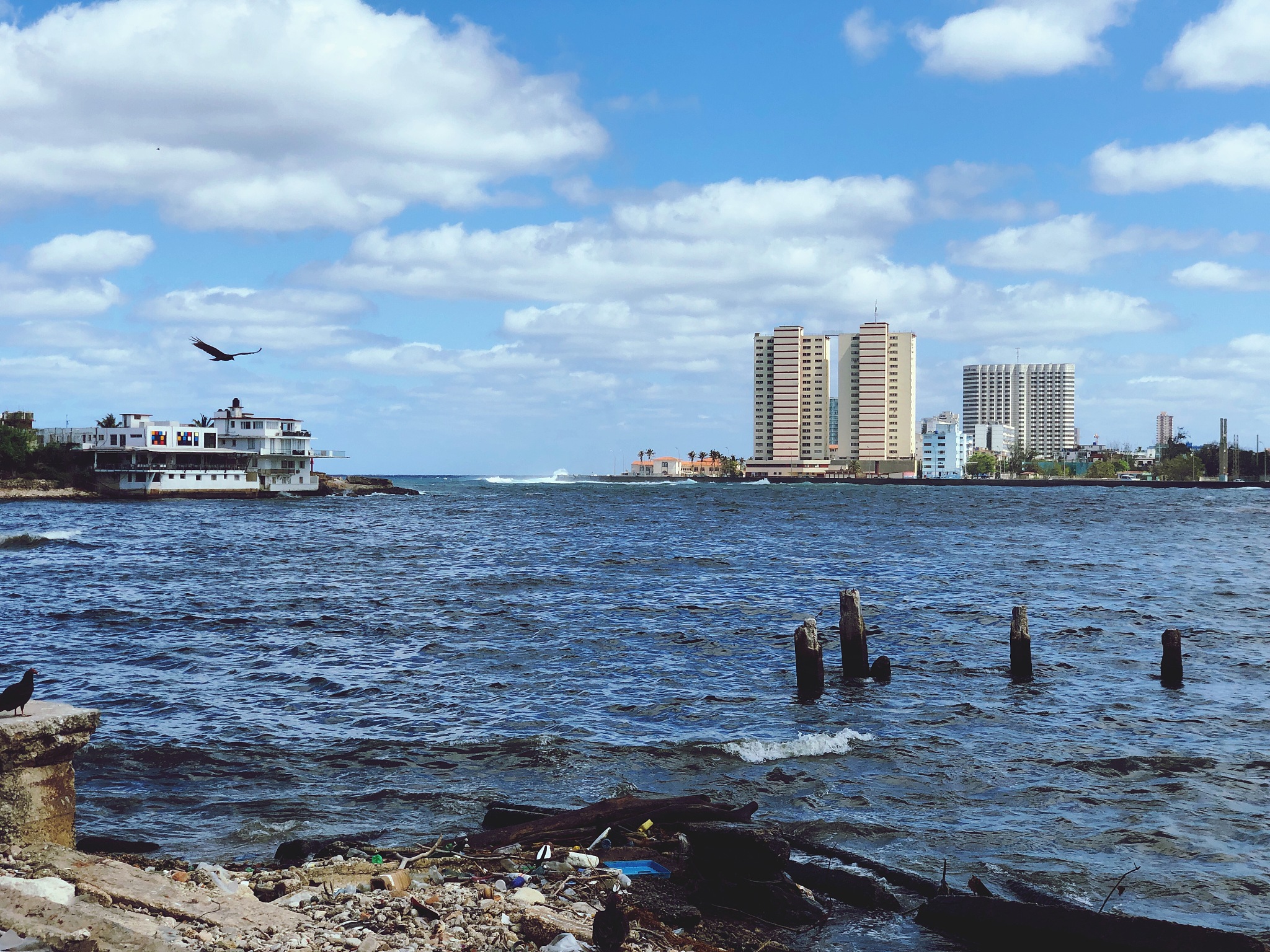sea by buildings against sky in city
