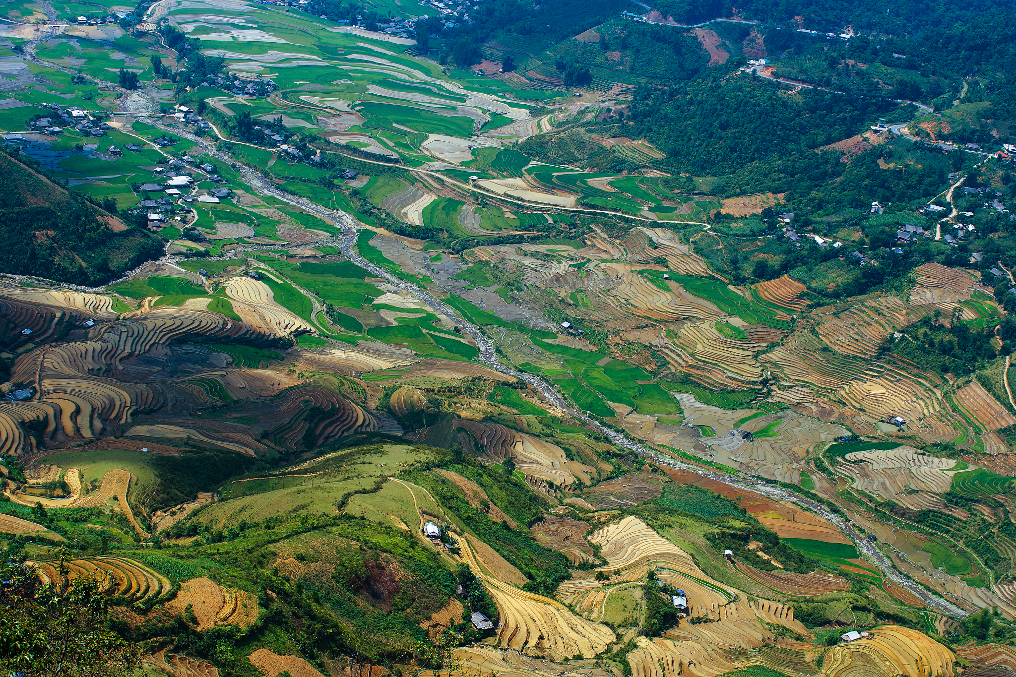aerial view on rice terraces field