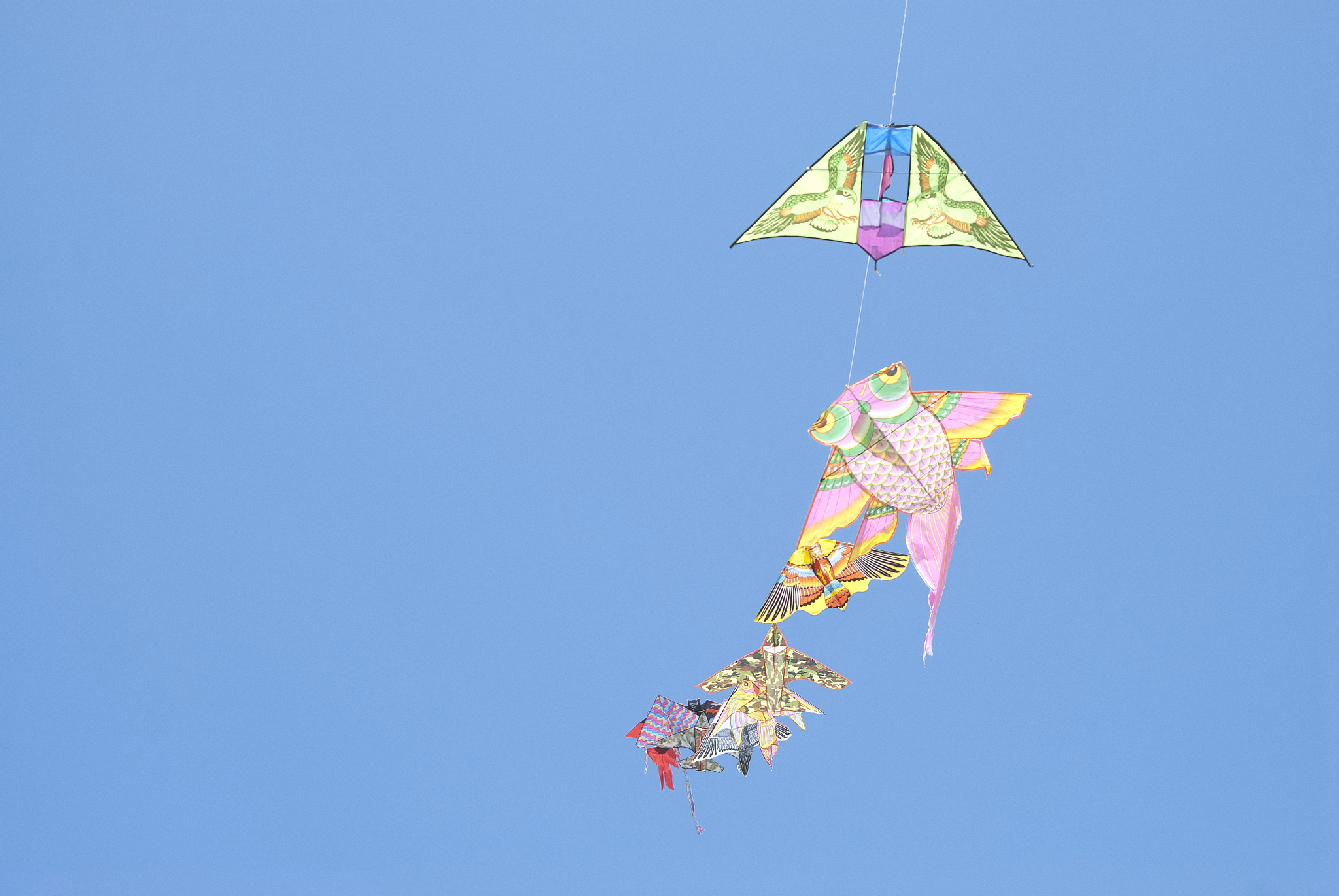 colored kites flying in the sky