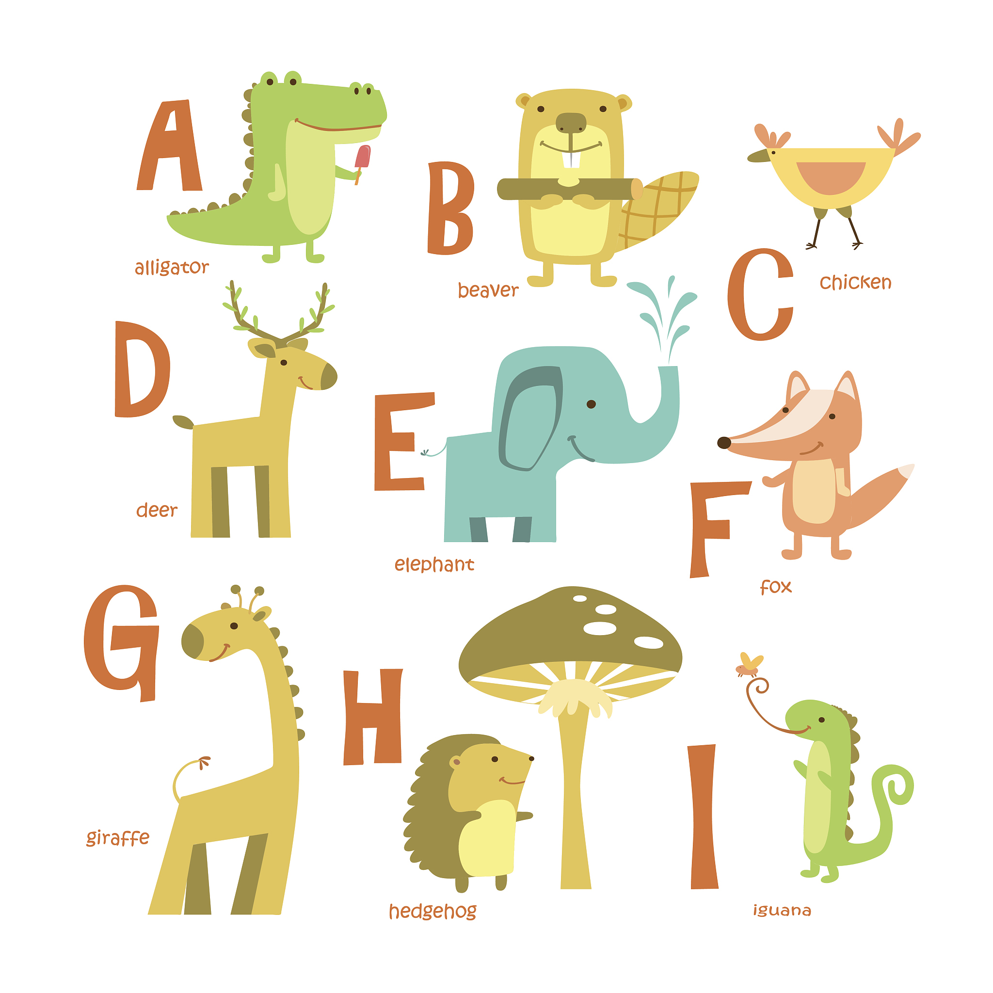 FKXOY字母能组成哪些单词？所有可能性！