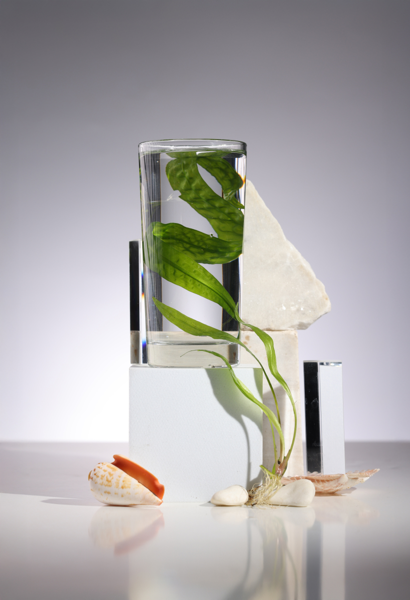 现代设计理论与方法：探索模块化设计、并行设计等关键方法