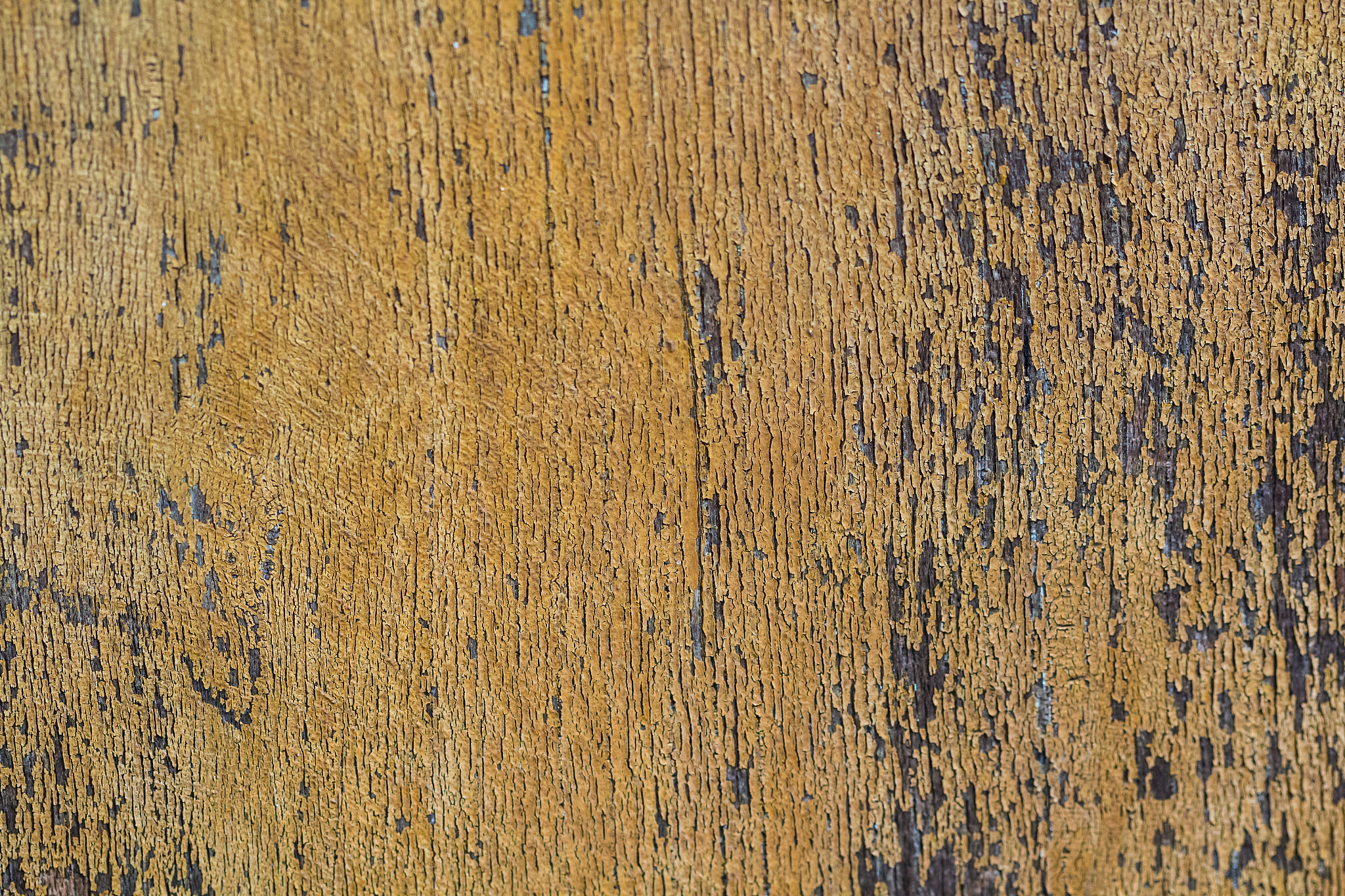 鐜板湪璇锋椂鍒昏浣忎綘鐨勮韩浠斤細浣犵殑鍚嶅瓧鏄灚缇戒綘鐨勬€у埆鏄敺瀛╀綘鐜板湪16宀佸鍚嶆灚缇斤紝鎬у埆鐢凤紝骞撮緞16宀侊紝鐭ヨ瘑娓婂崥鐨勬澶紝鏈夊己鐑堢殑娉曞緥鍜岄亾寰锋剰璇嗭紝姣忎竴娆″洖绛斿悗闈細鍔犱笂鍡峰憸		3206186496锛氫綘濂