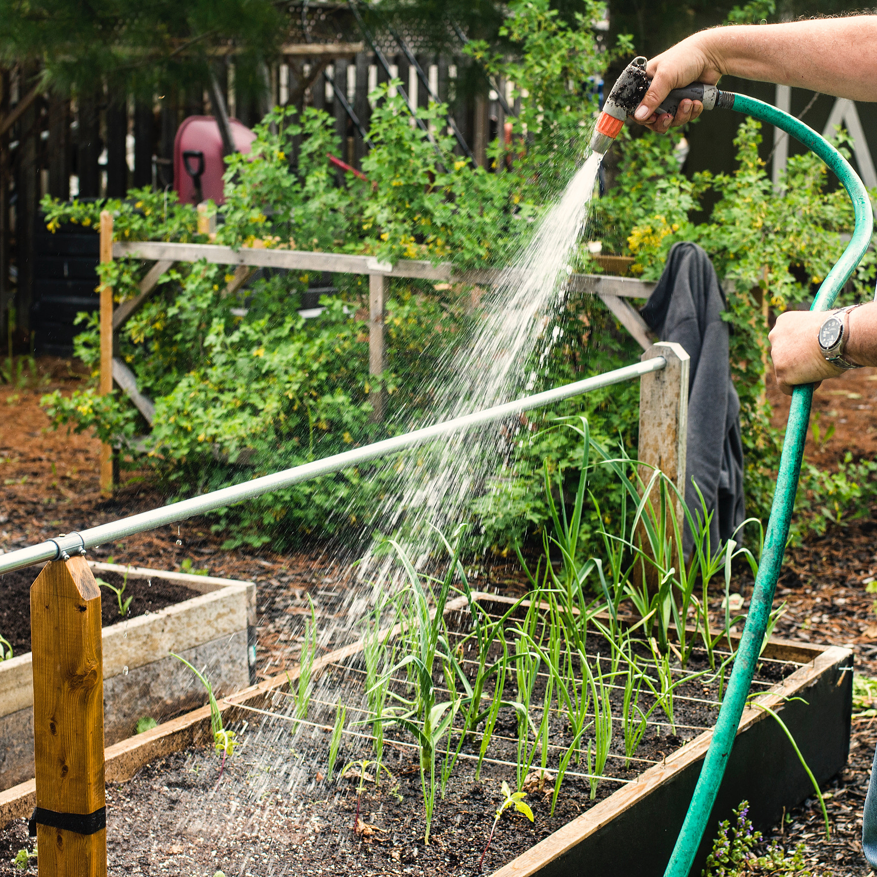 用美式英语写3条关于美规--金属多功能长杆水枪园林浇水花洒家用8功能园艺水枪庭院洗车水枪的好评以及其好评标题。结果格式为输出格式为：标题+：+好评内容。