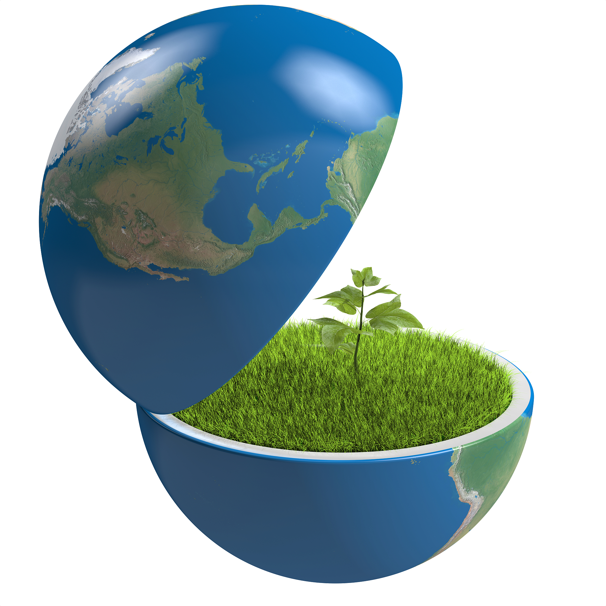plant inside planet