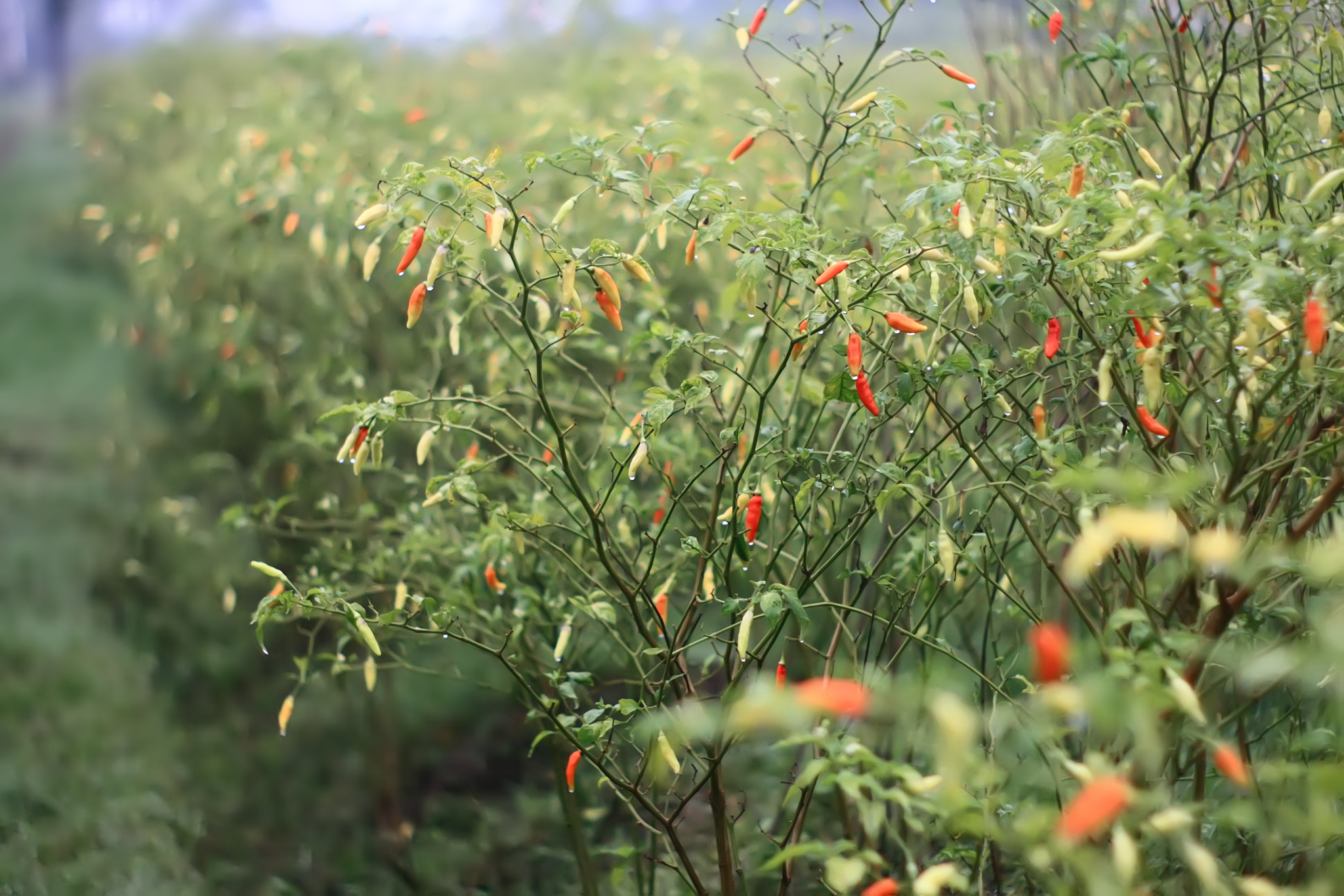 昆明贸易经济学校2023年中专招生专业信息