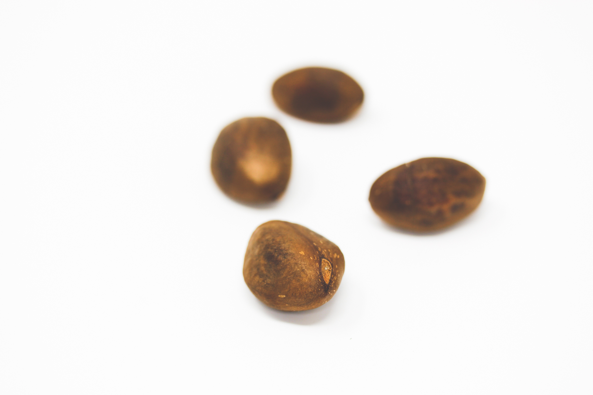 有什么机器可以给枇杷分离果核枣子的果核是如何分离的