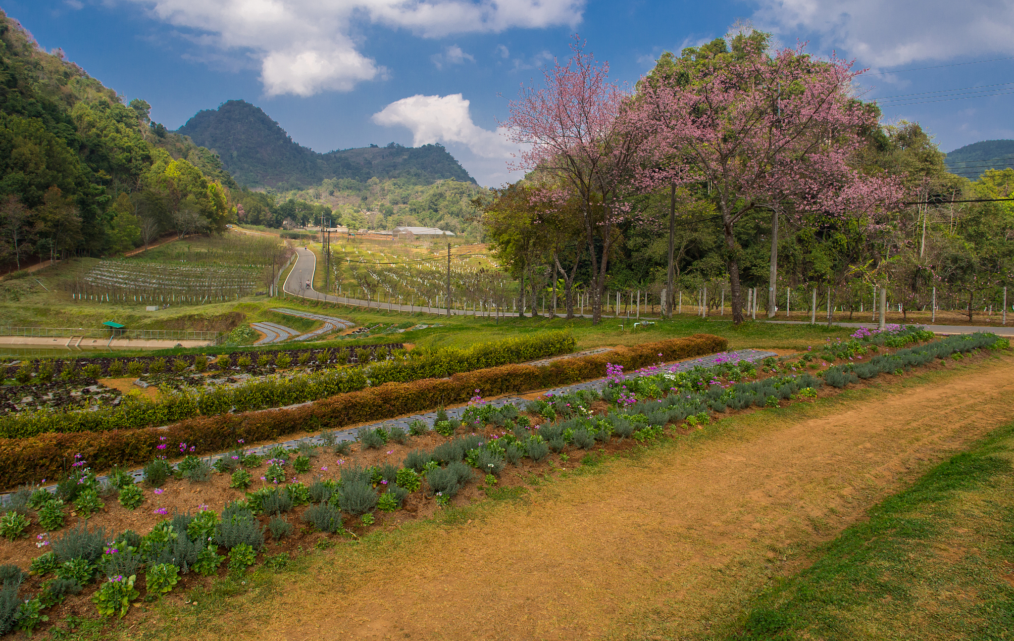 重庆农业学校观光农业经营怎么样招生对象是啥