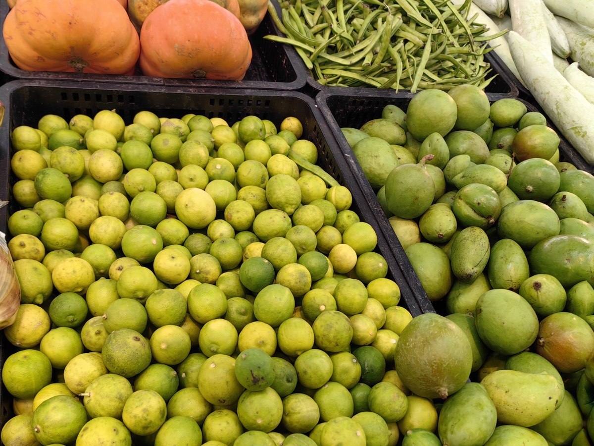 晶黄果是哪个县