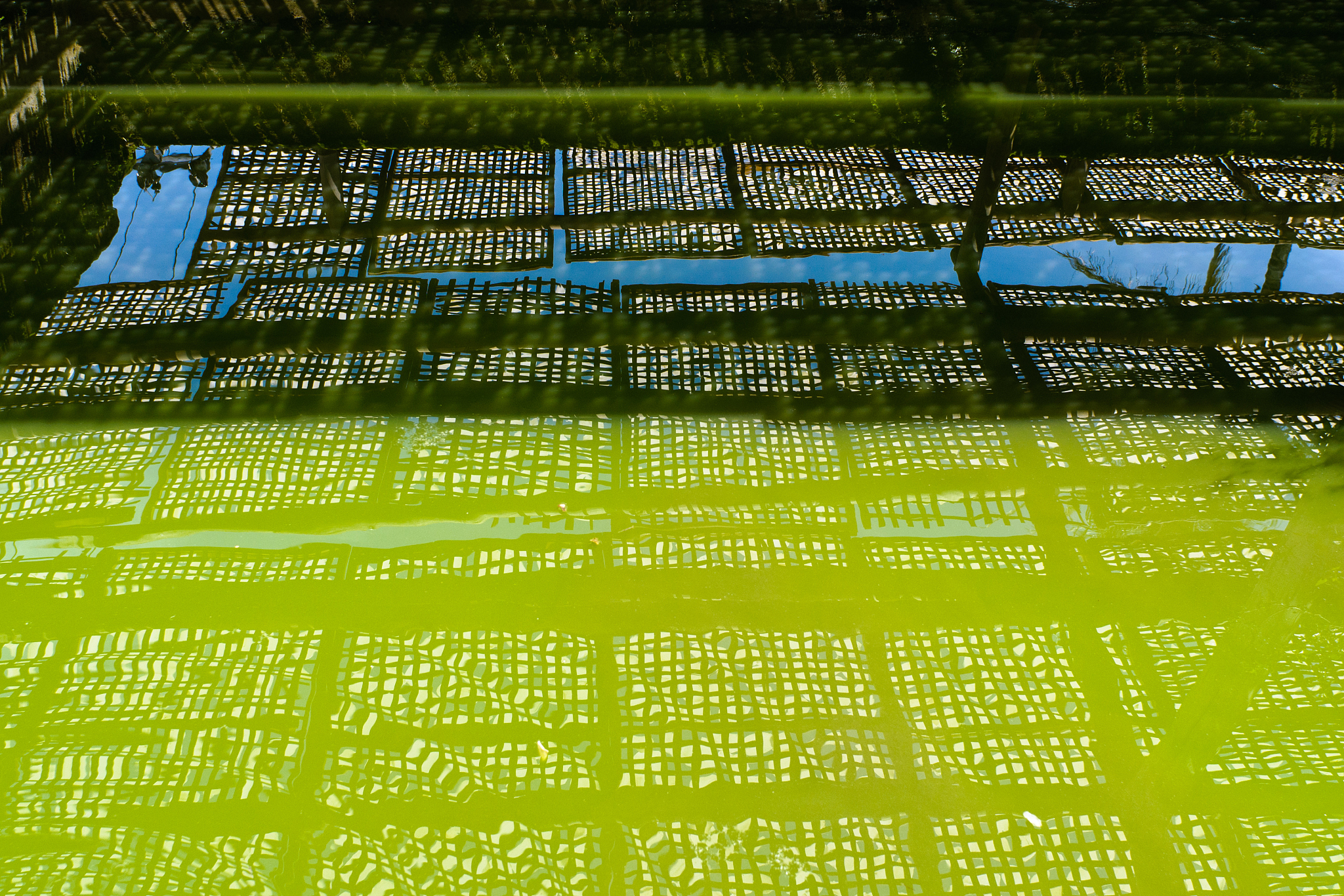 net reflection on water