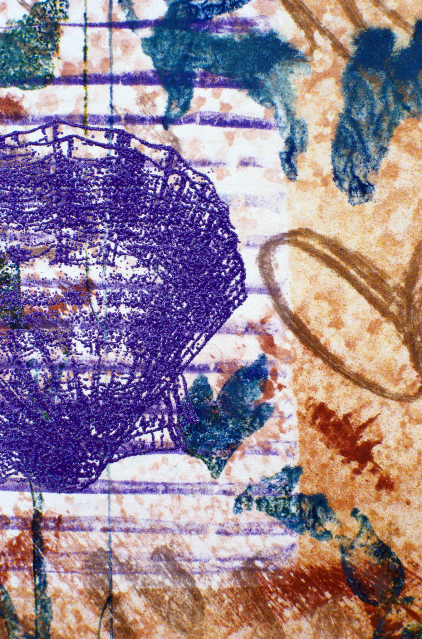 scallop shell and line pattern