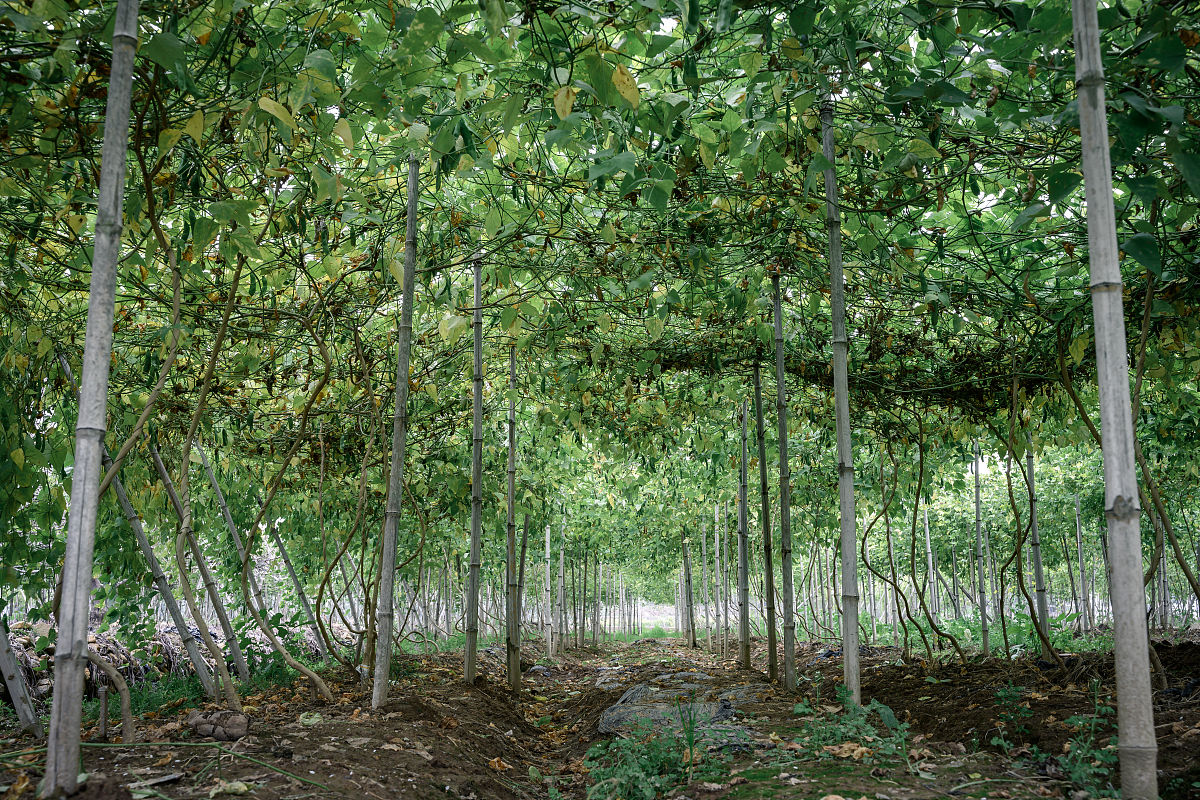 红河州农业学校2019年办学条件