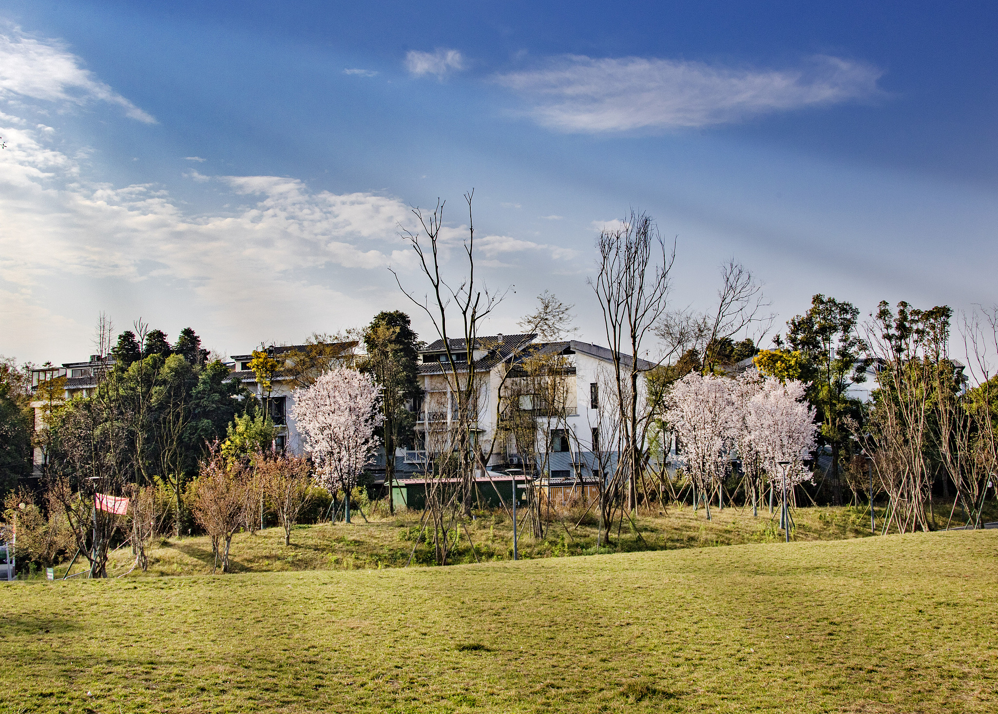 四川省德阳市旅游职业学校旅游服务与管理专业：热门专业，就业前景广阔