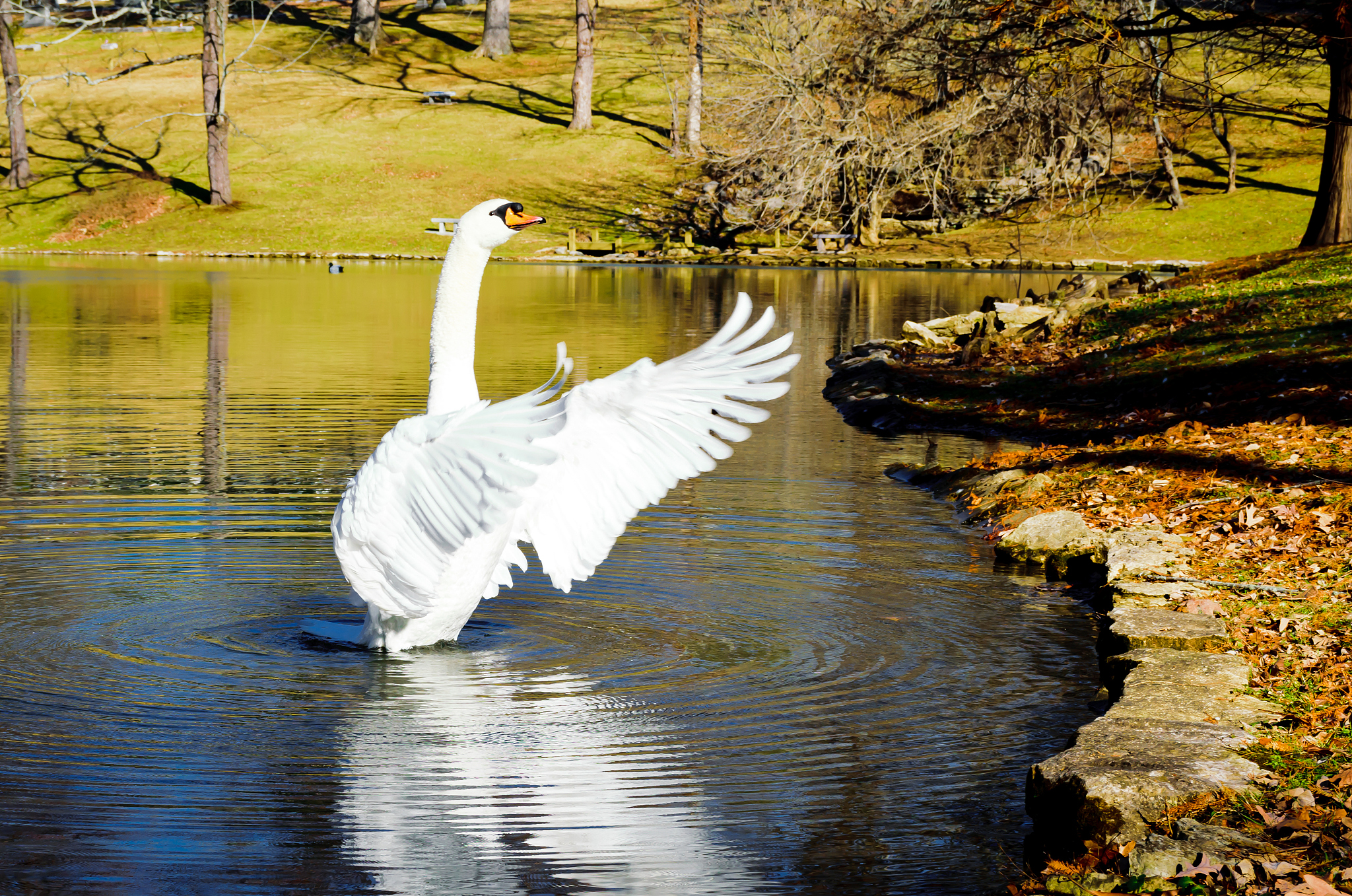 1852 Gap Clearance The minimum spacing between non-common uninsulated conductors eg patterns materials hardwareresidue is referred to as ‘‘minimum gap clearance’’ throughout this document if the condu