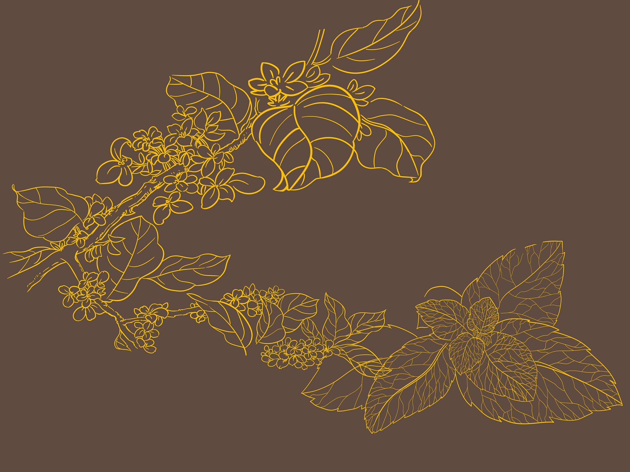 植物叶片可溶性糖含量是多少克