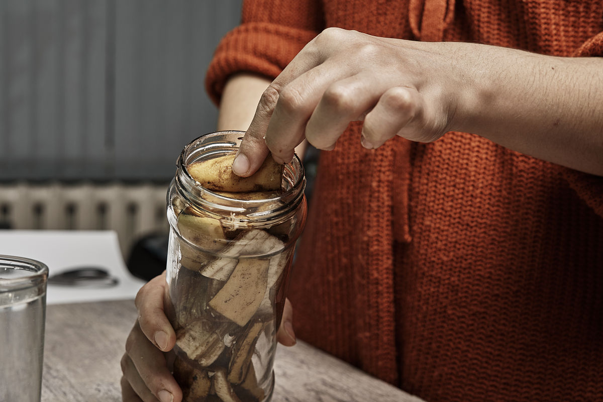 香蕉皮怎么做花的肥料400字