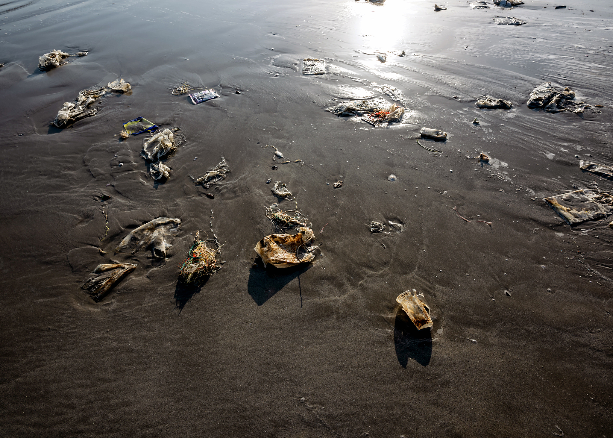 福岛核废水排海：环境、健康和全球责任的担忧