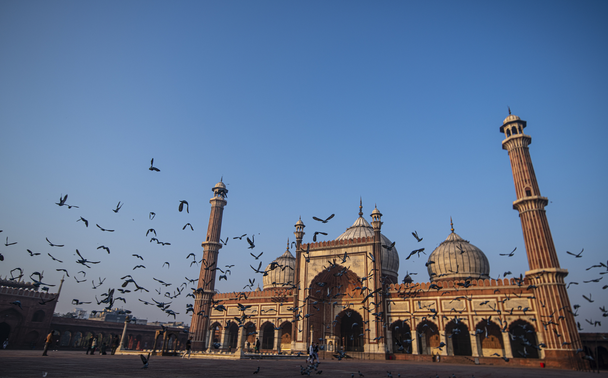 jamia masjid in morning