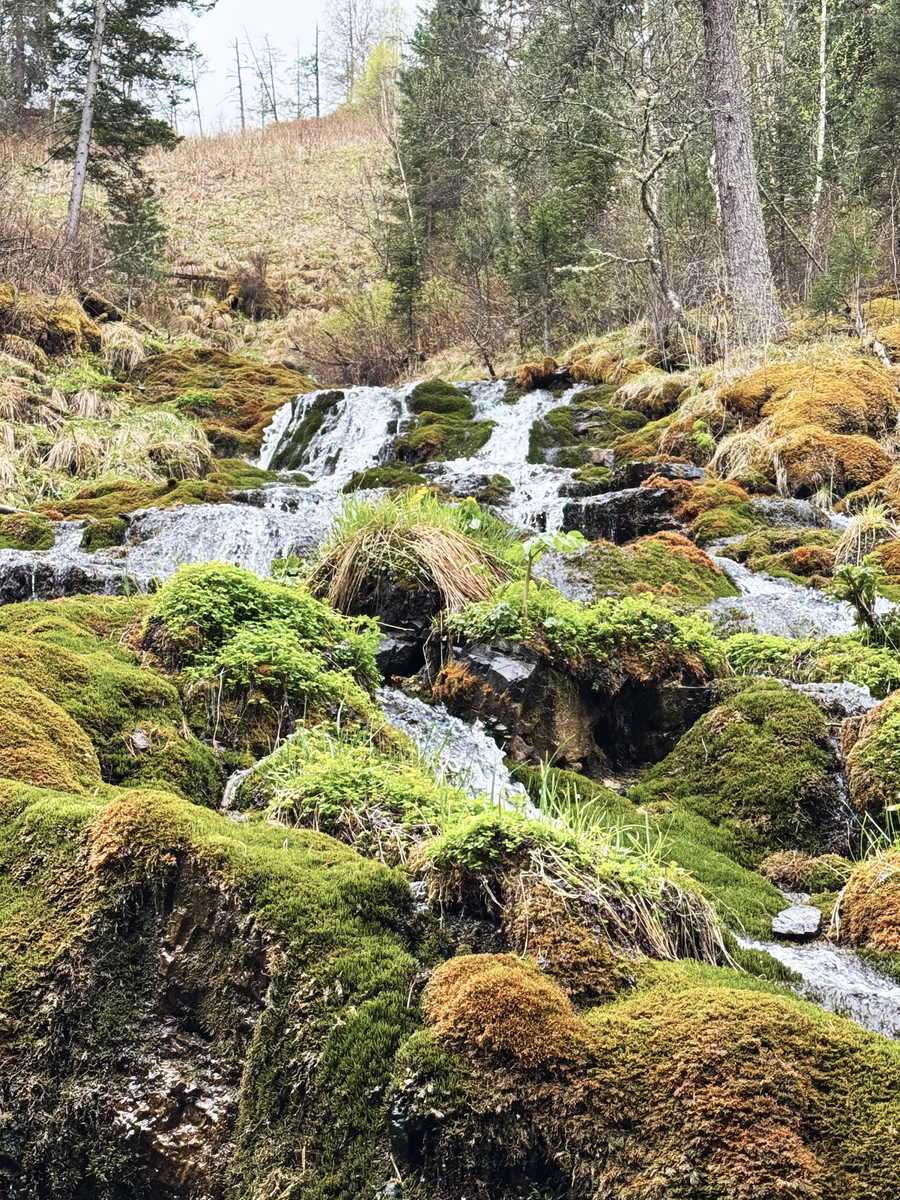 请用100字描述小溪流水潺潺 中间有草丛 远山隐隐约约的场景