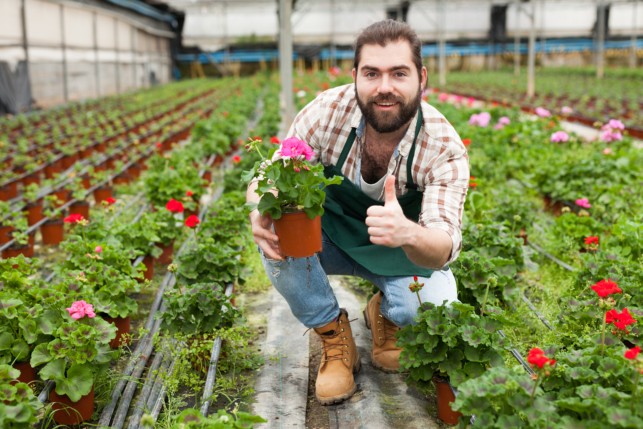2023年广西农业职业技术学院商务英语专业招生