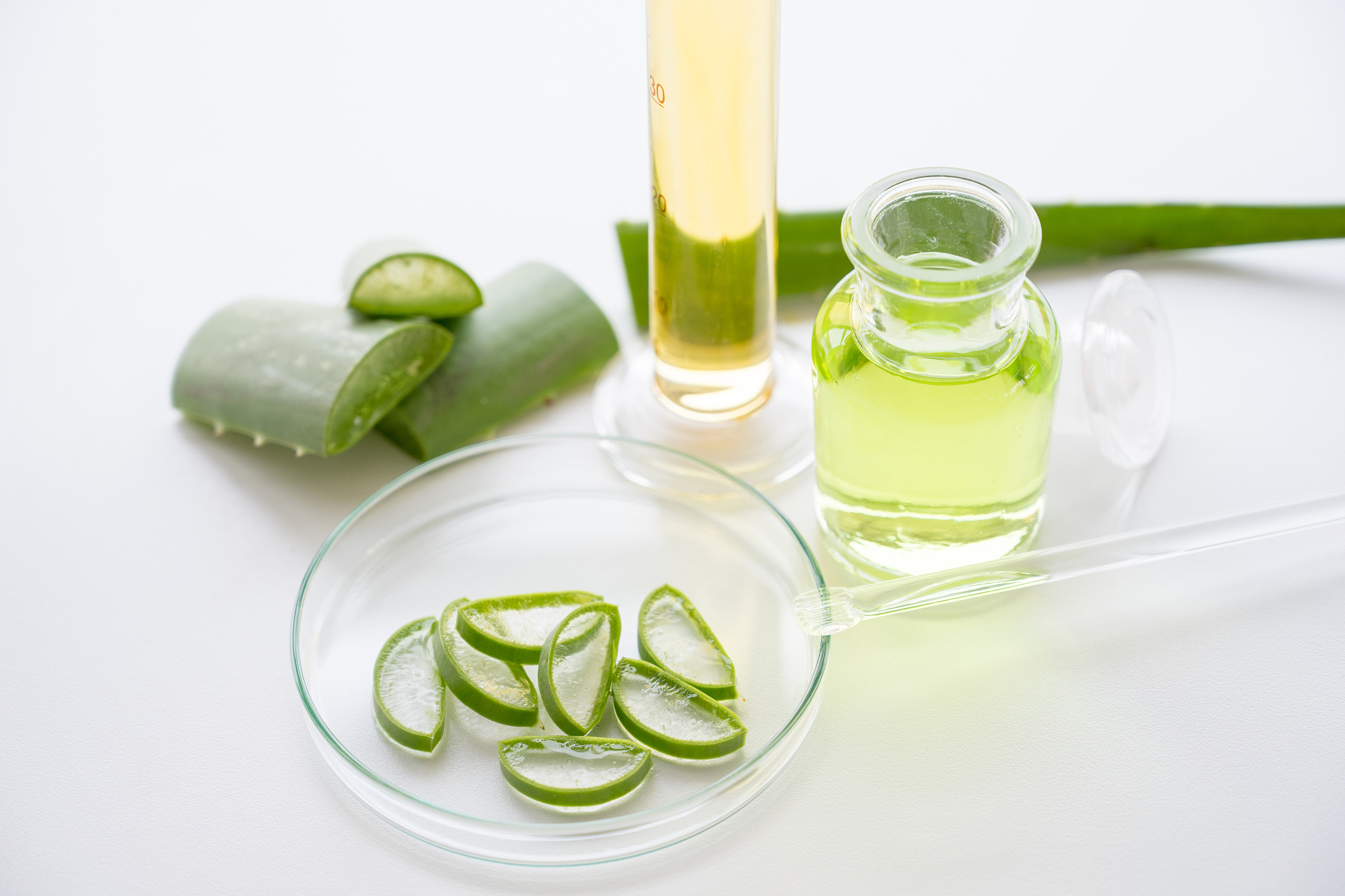 东莞轻工业学校热门专业：纺织服装设计、机械设计制造等